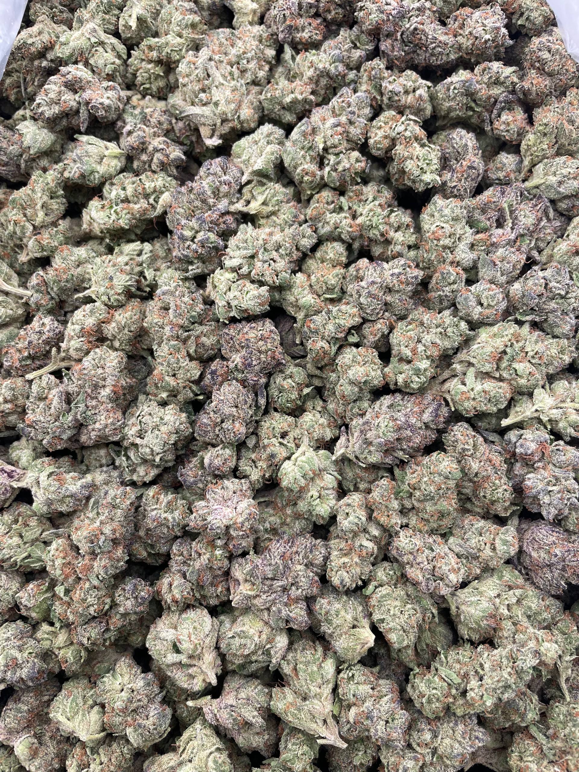 #F38C Georgia Pie (MIXED LIGHT) (ORGANIC)
