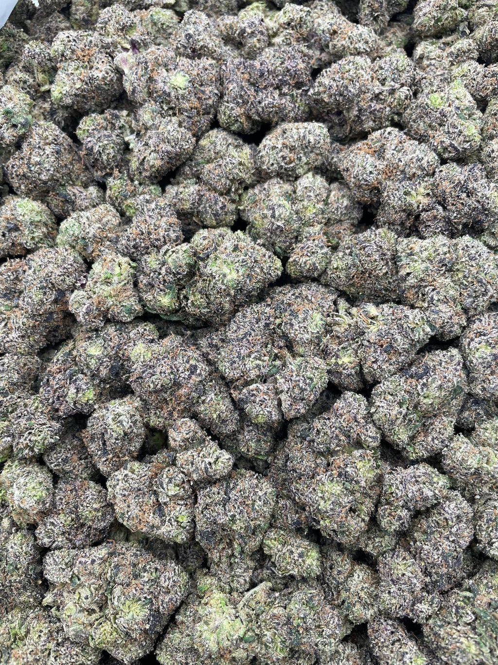 #R89T Watermelon Bubble Yum (INDOOR) (TERP INFUSED FLOWER)