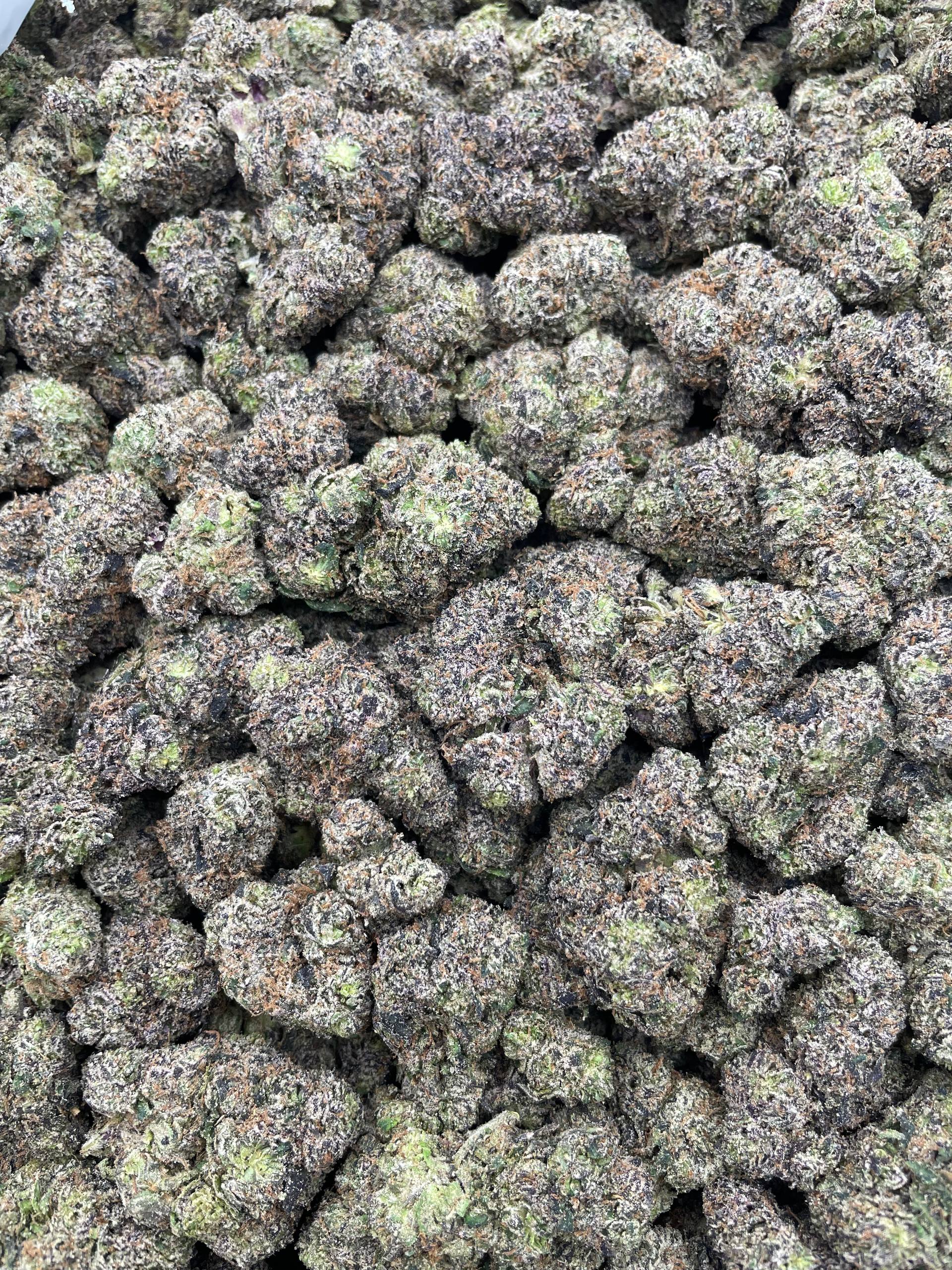 #R89T Watermelon Bubble Yum (INDOOR) (TERP INFUSED FLOWER)