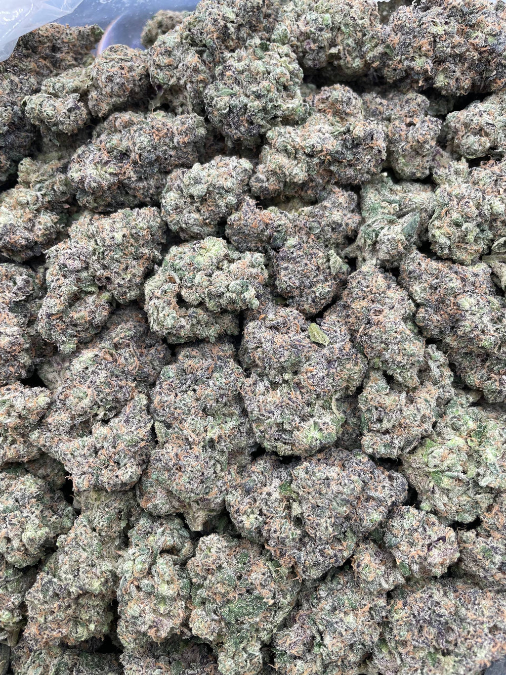 #G7B Gorilla Mintz x Mellow Jello (INDOOR) (LICENSED)