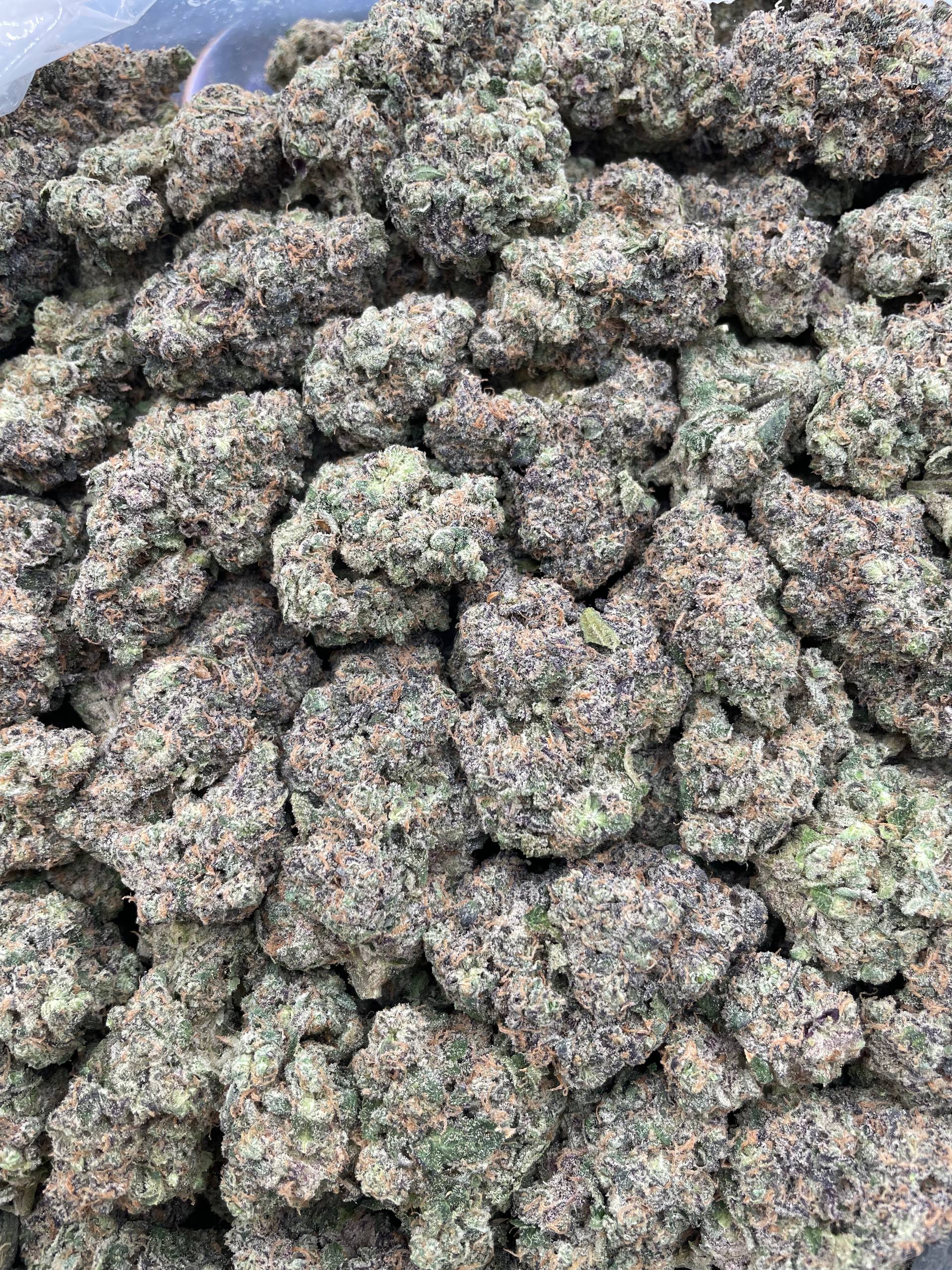 #G7B Gorilla Mintz x Mellow Jello (INDOOR) (LICENSED)