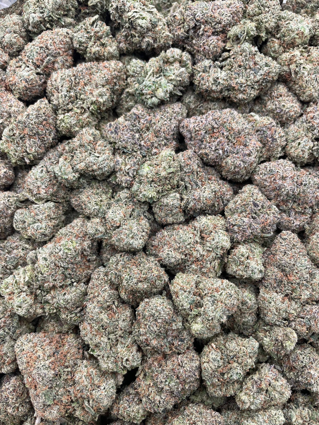#F34A Cosmic Cherriez (INDOOR) (LICENSED)