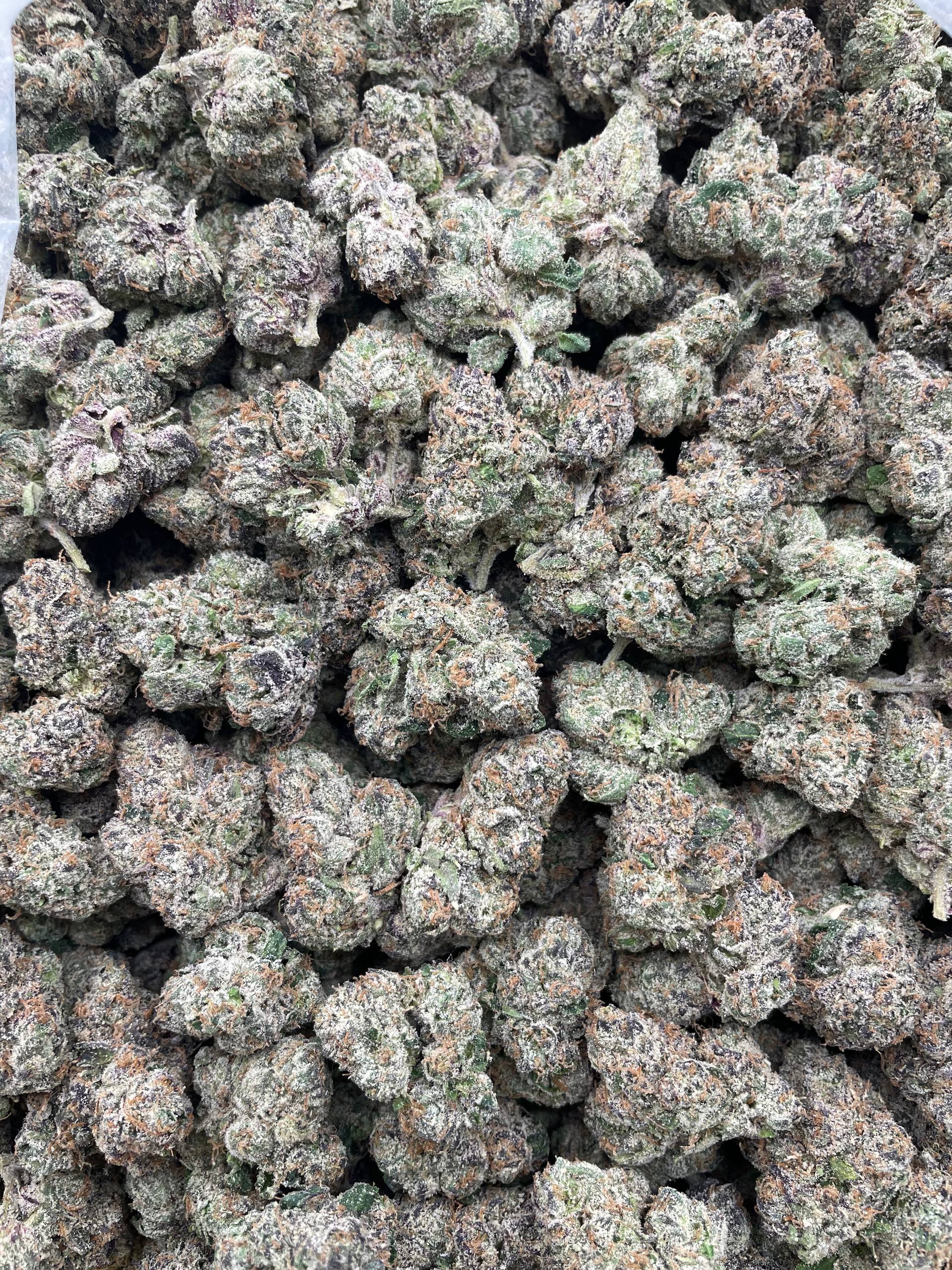 #R66X Sour Zombie Bombz (EXOTIC)