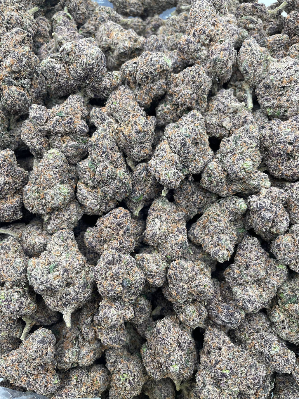 #R115 Raspberry Taffy (EXOTIC)