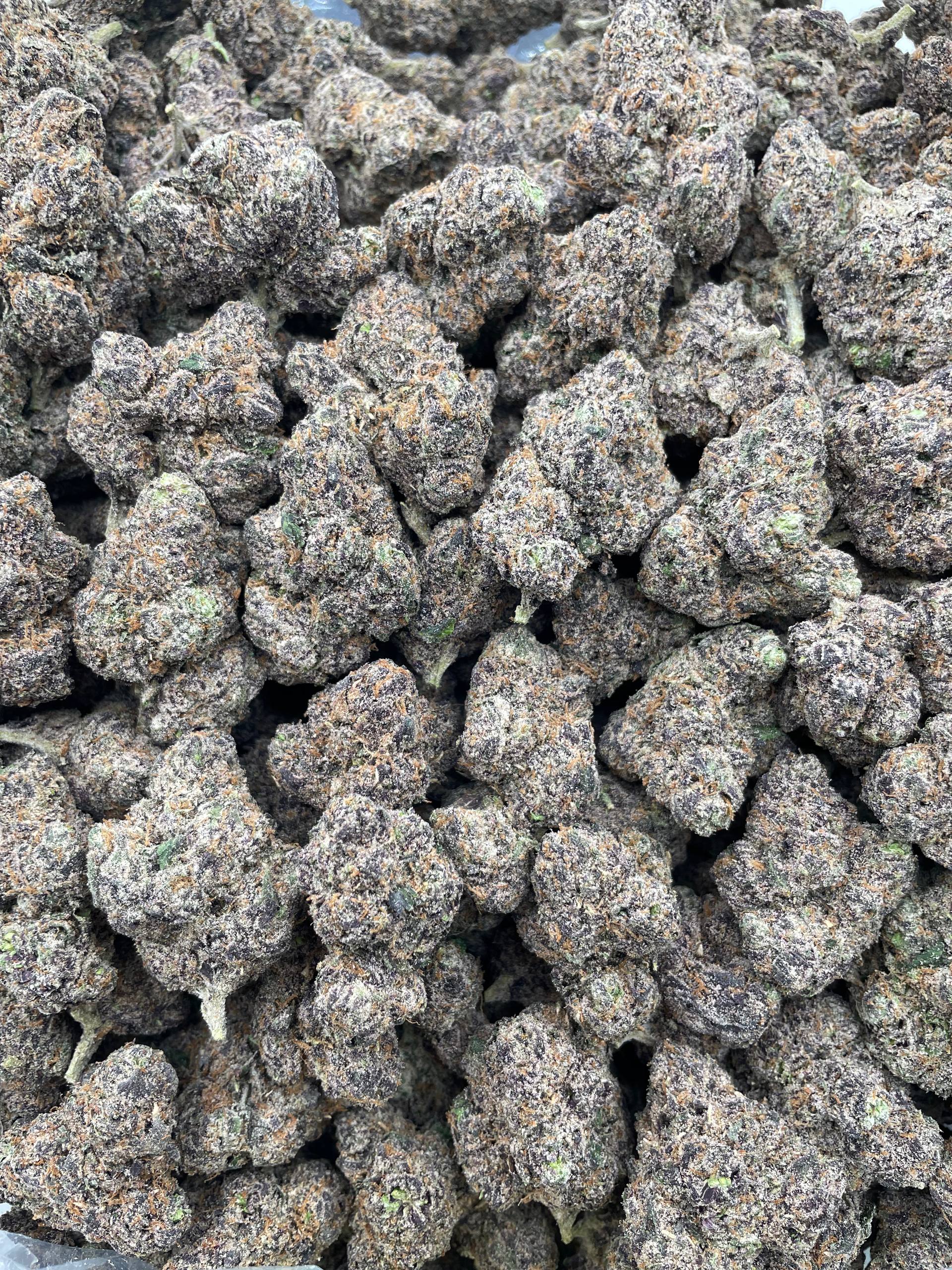 #R115 Raspberry Taffy (EXOTIC)