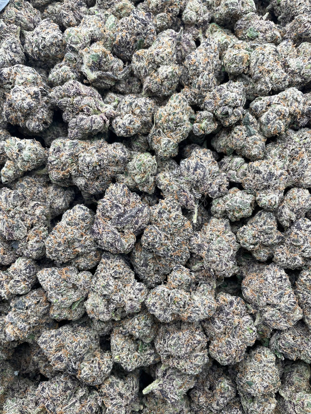 #R61T Crypto Candy (EXOTIC)
