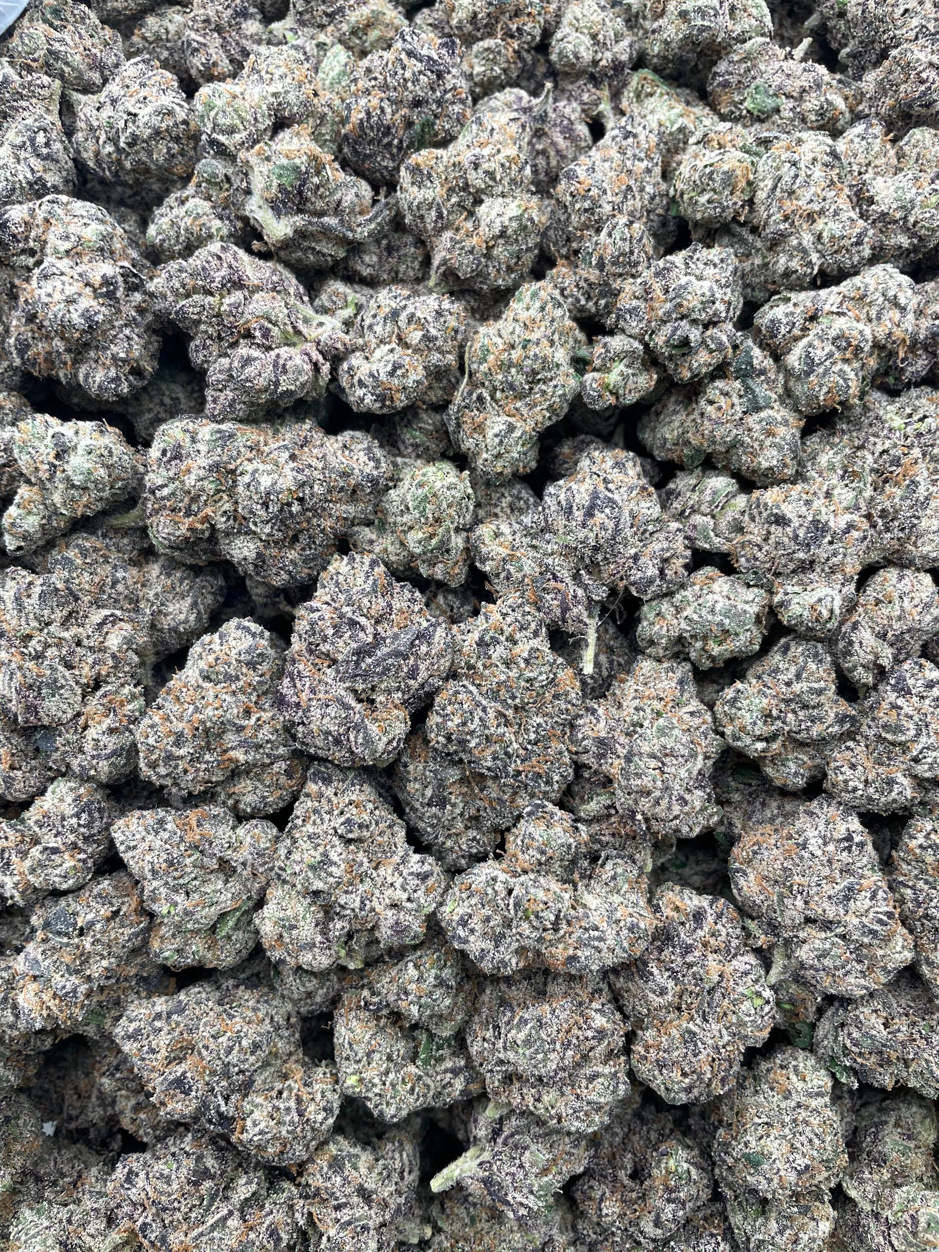 #R61T Crypto Candy (EXOTIC)