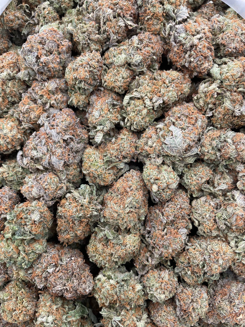 #G35A Purple Bubba Kush (INDOOR)