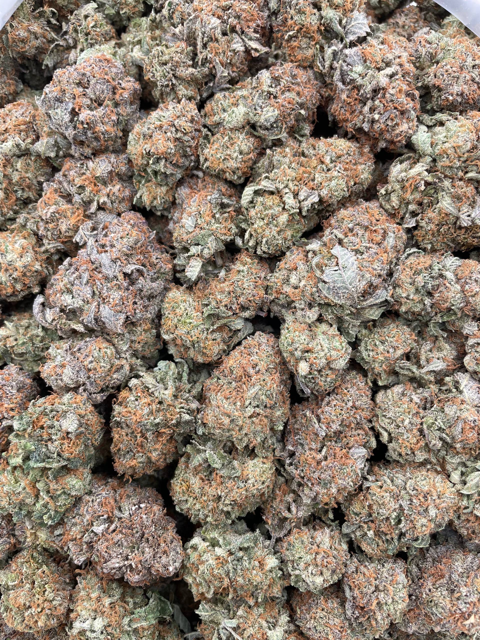 #G35A Purple Bubba Kush (INDOOR)
