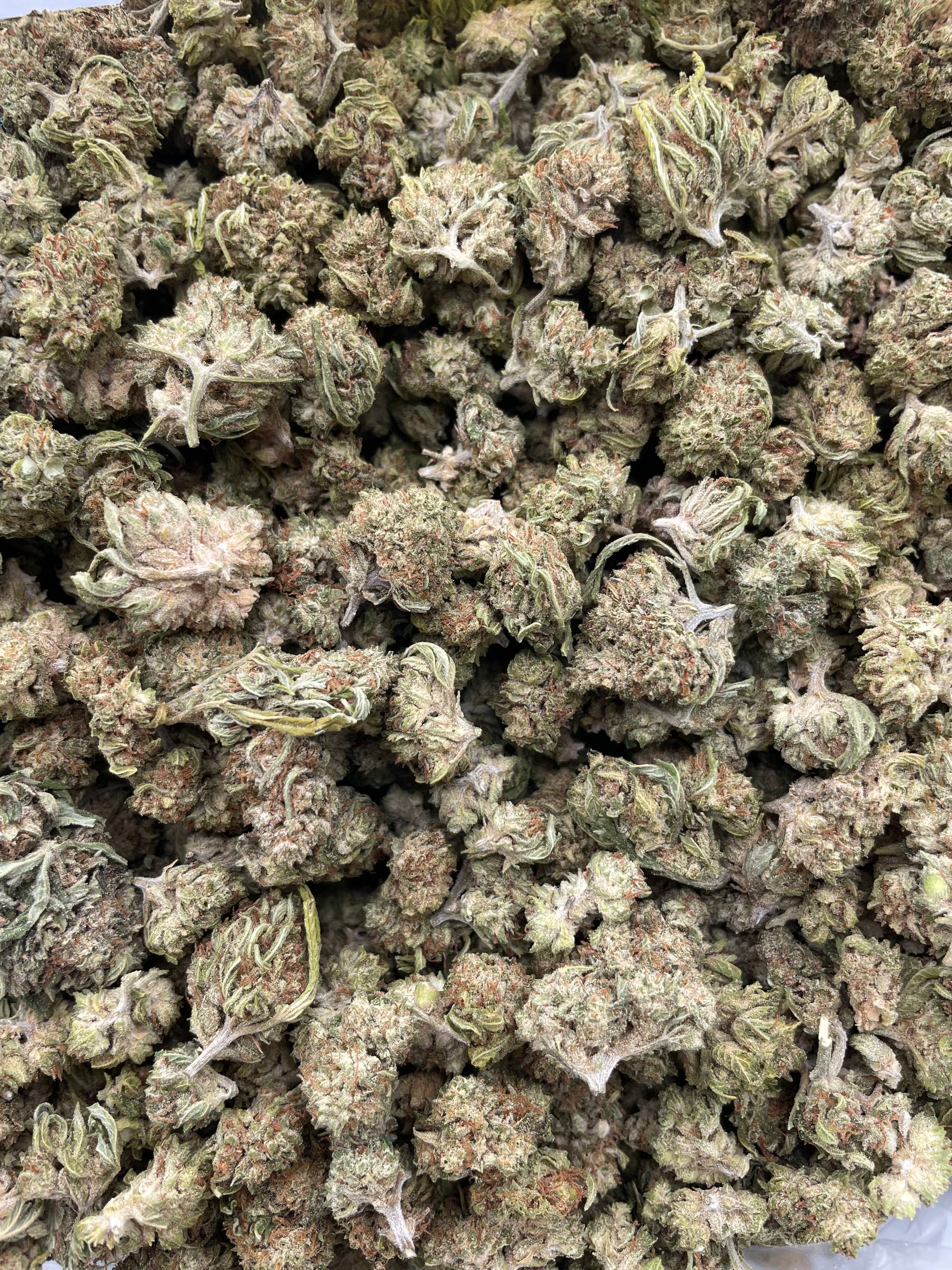 #239 Skunk Balls (SMALLS)