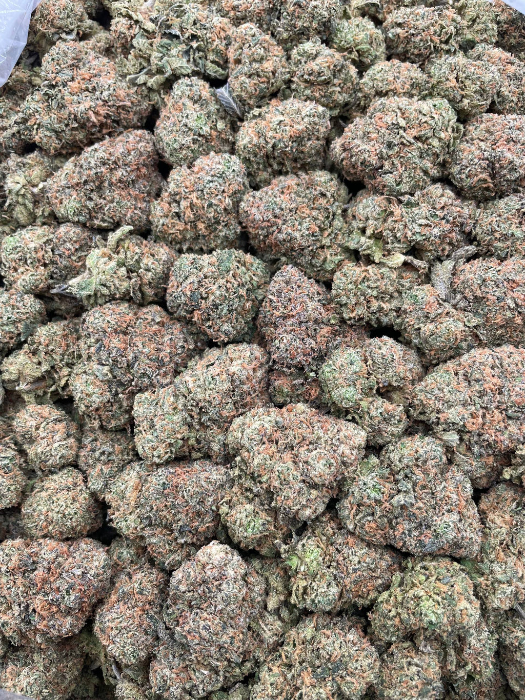 #F10B Zuper Mochi (INDOOR)