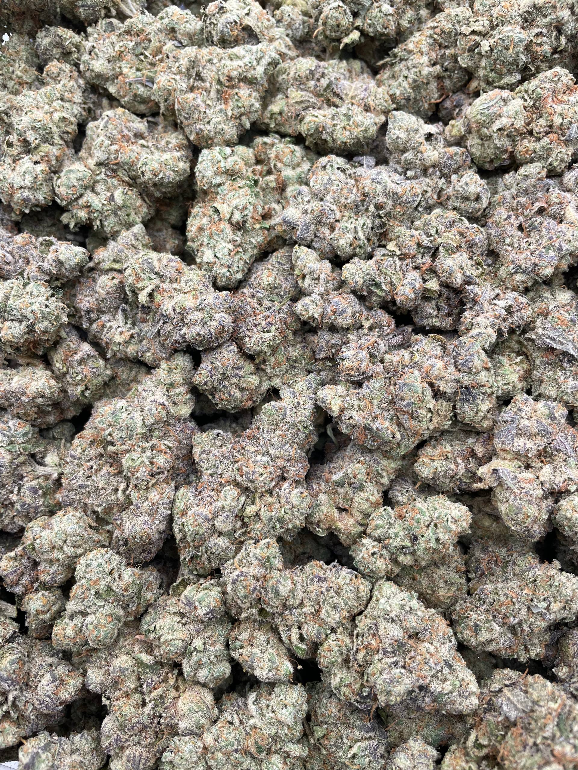 #L34C LA Rock Candy (INDOOR)