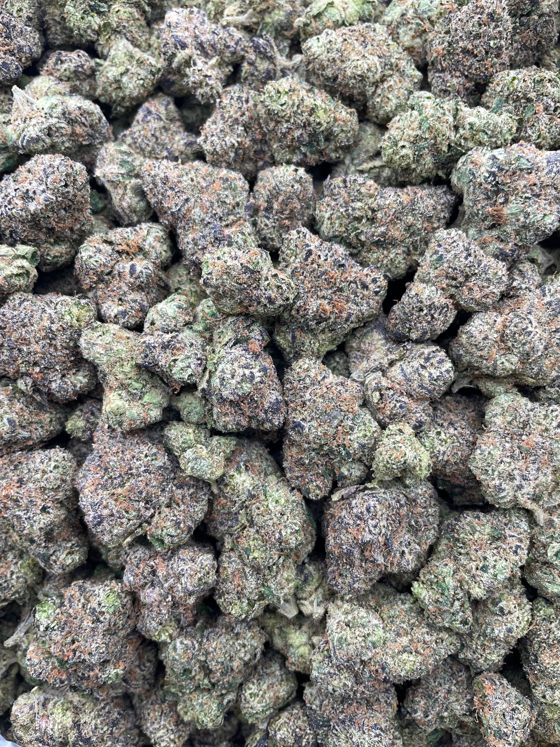 #R87Y Blue Raspberry Rings (INDOOR) (TERP INFUSED FLOWER)