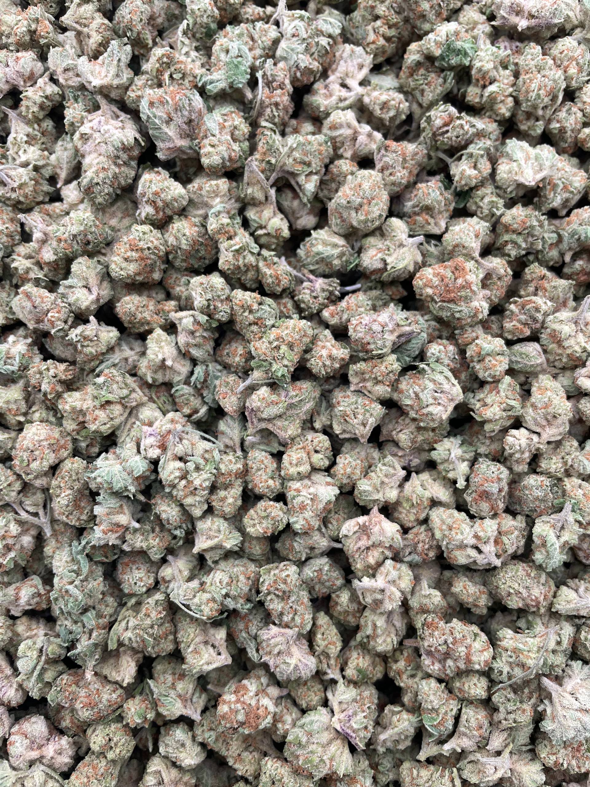 #E27A Papaya Melonz (SMALLS)