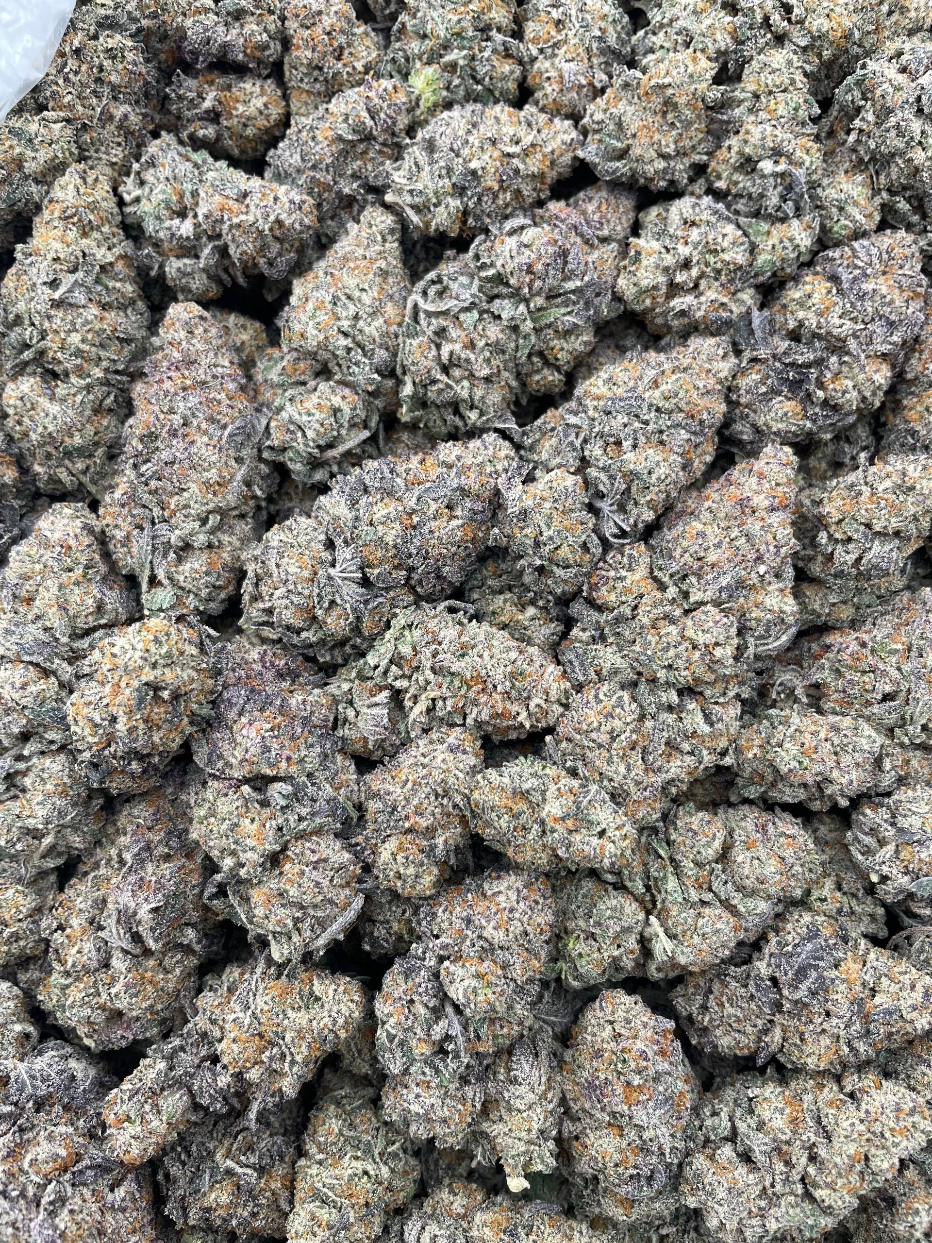 #L35A Top Hat Trufflez (INDOOR)