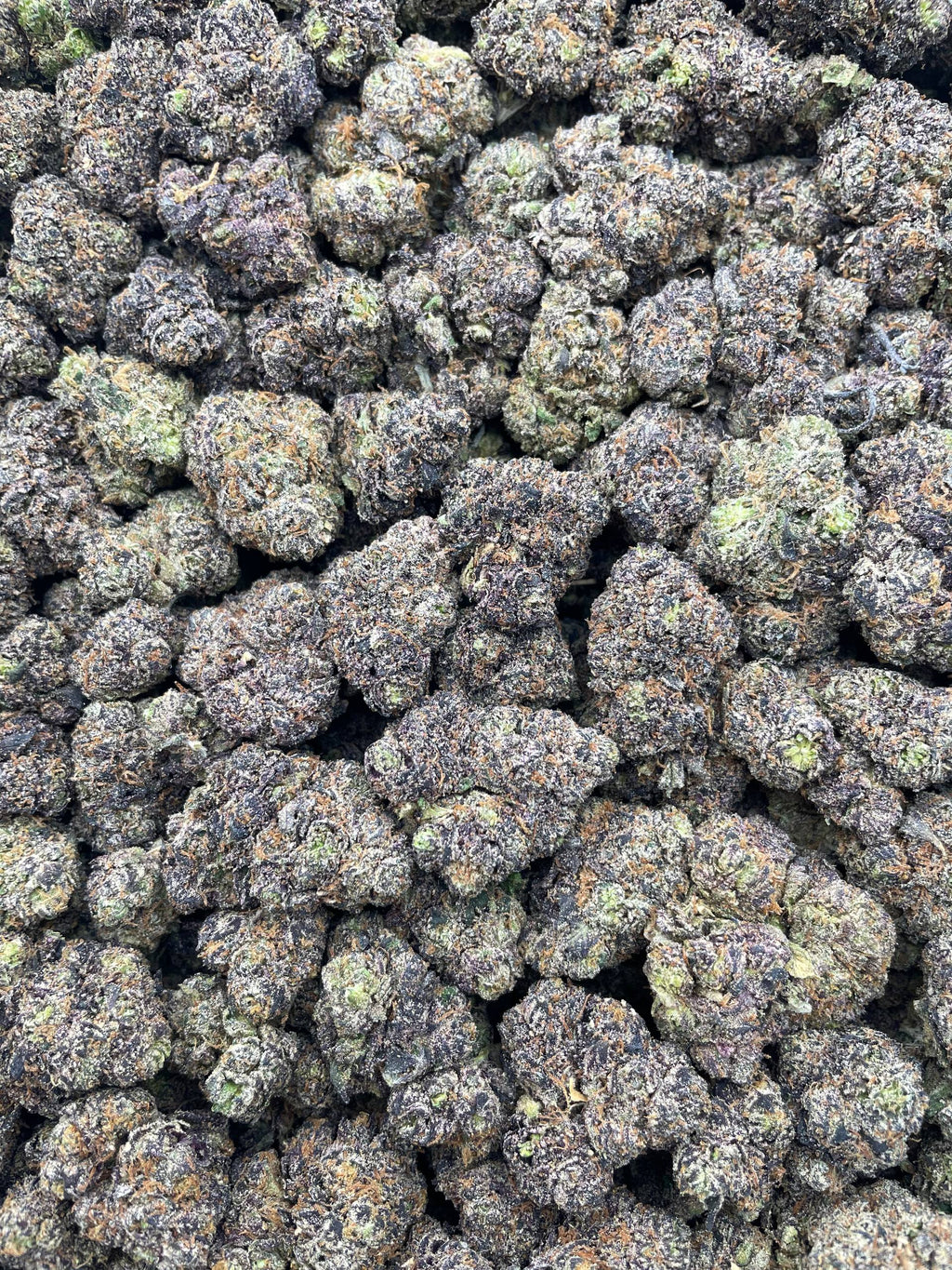 #H39A Candy Bomb (INDOOR) (LICENSED)