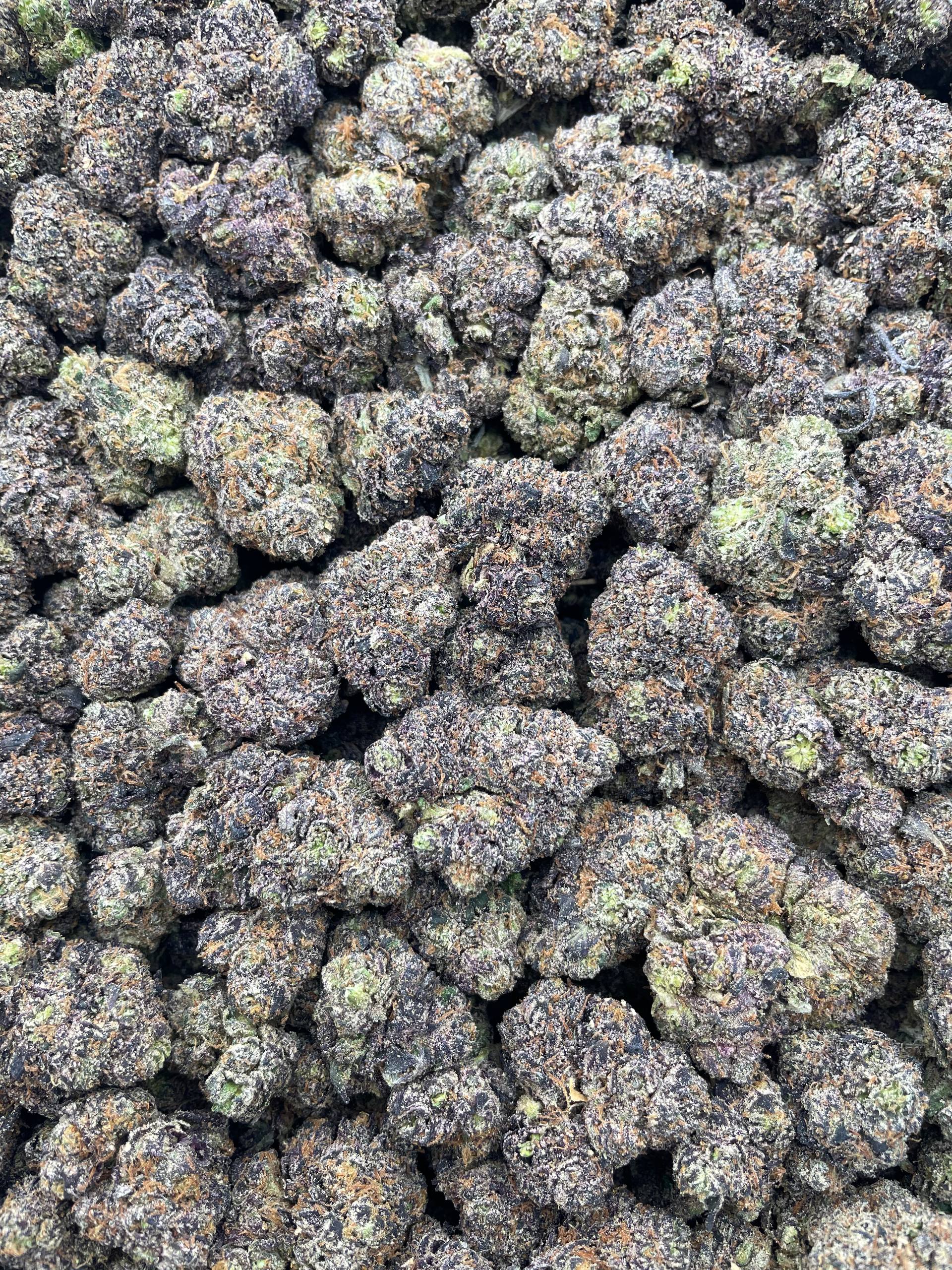 #H39A Candy Bomb (INDOOR) (LICENSED)