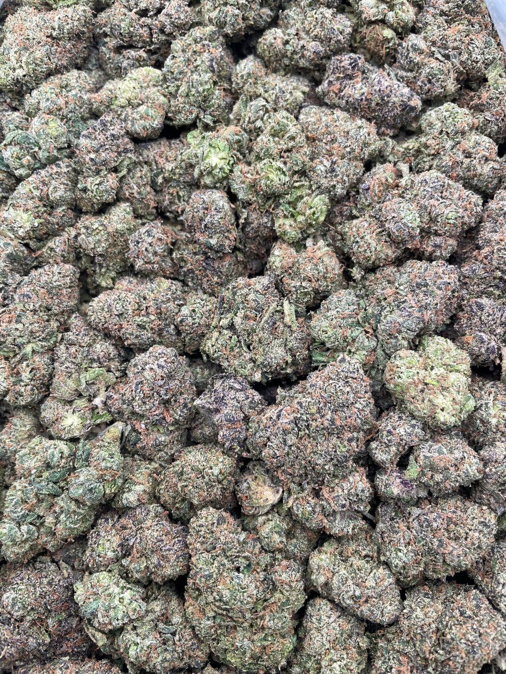 #F37A Lemon Cherry Sizzurp (INDOOR)