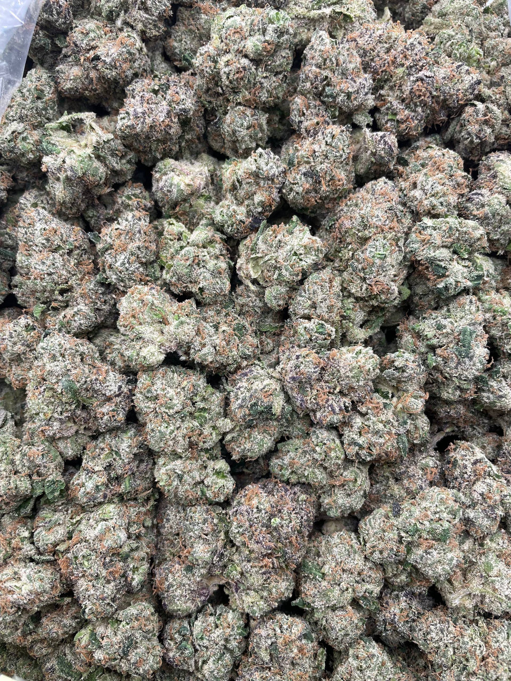 #R53X Blue Lemons (INDOOR) (LICENSED)