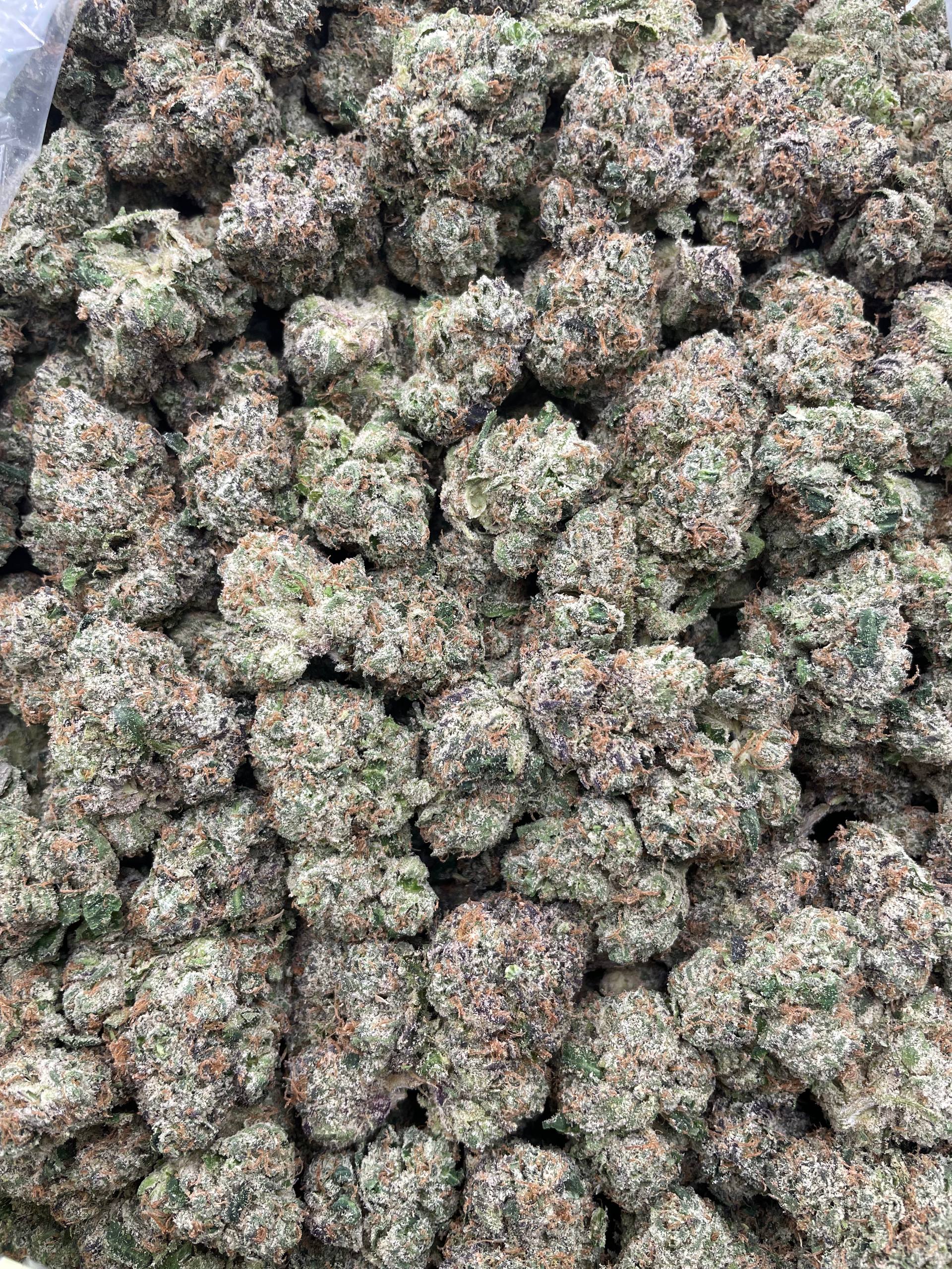 #R53X Blue Lemons (INDOOR) (LICENSED)