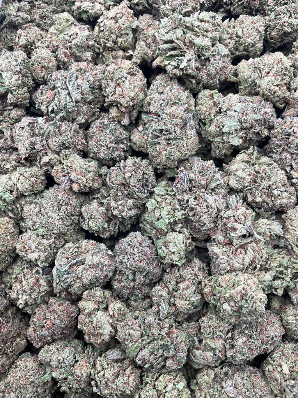 #H15C Very Berry Cherry (MIXED LIGHT)