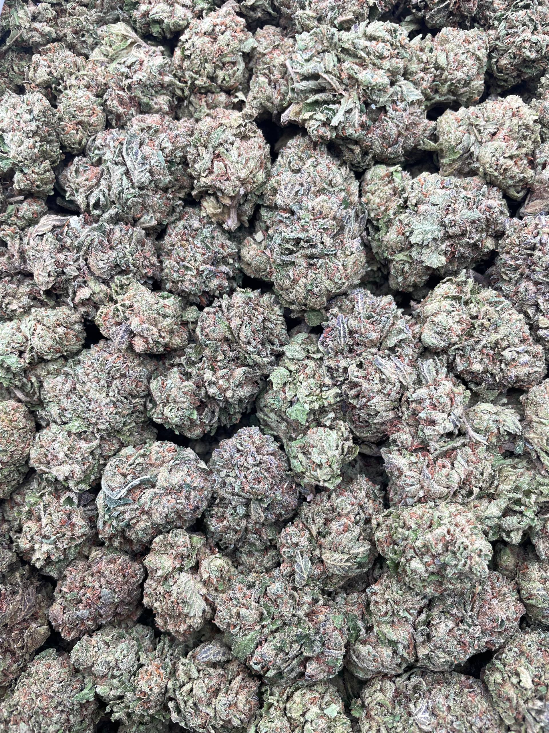 #H15C Very Berry Cherry (MIXED LIGHT)