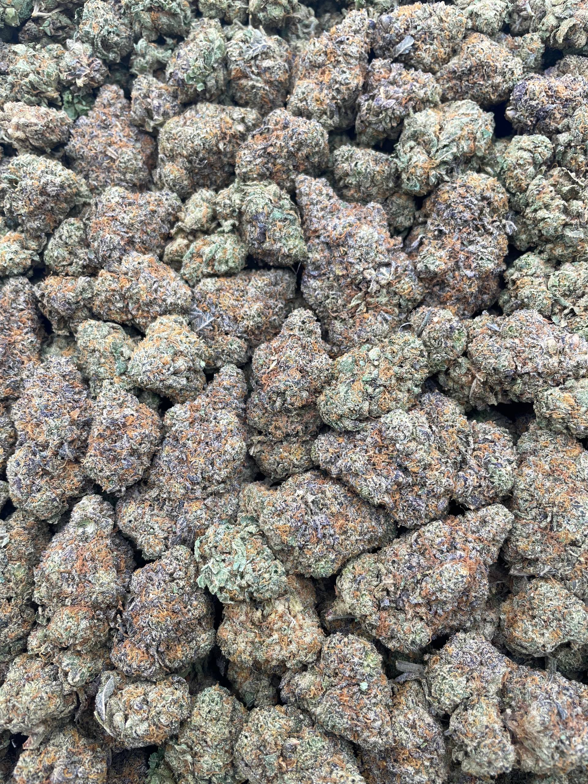 #E38B Skittles (INDOOR) (SEEDED)