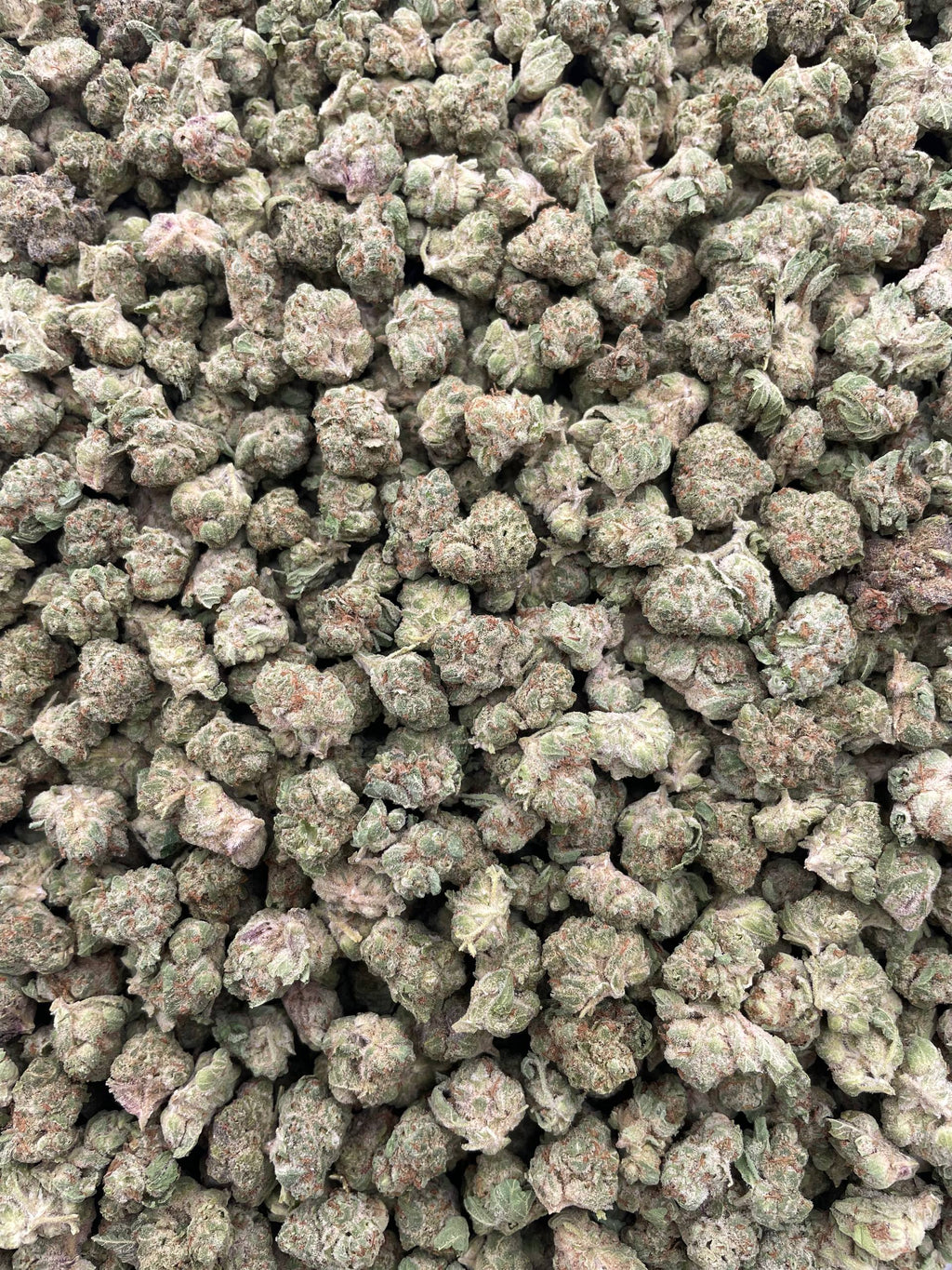 #F4B Whipped Creamsicle (SMALLS)