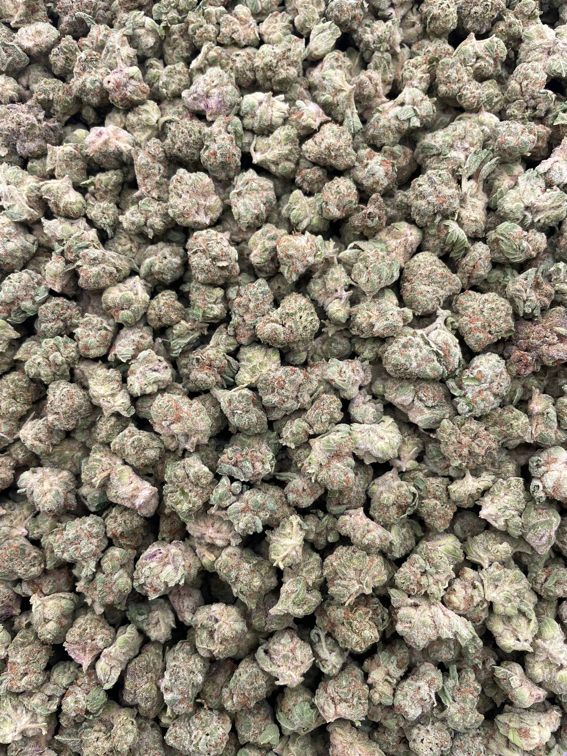 #F4B Whipped Creamsicle (SMALLS)