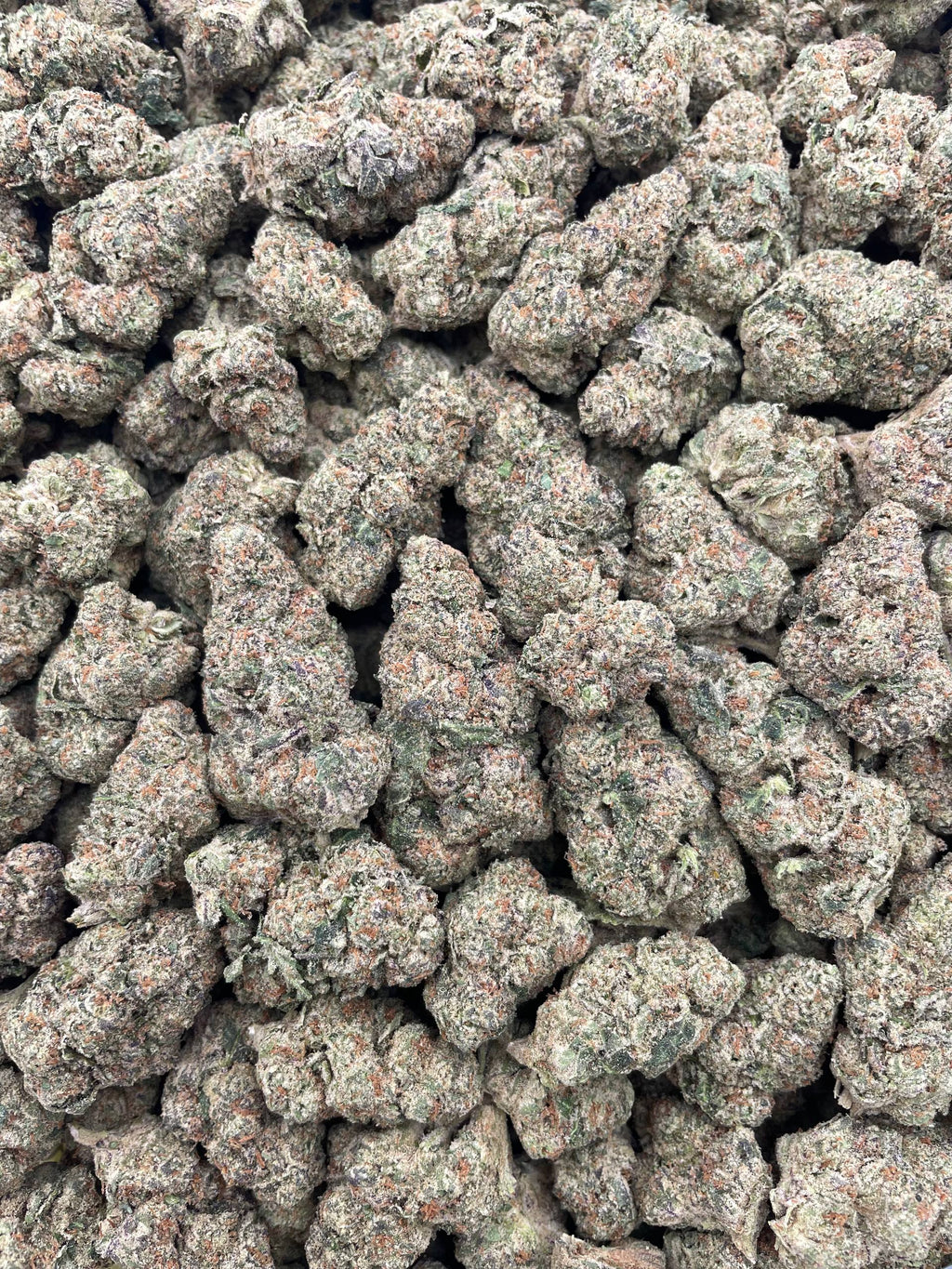 #F16C Yuzu Cheesecake (INDOOR)