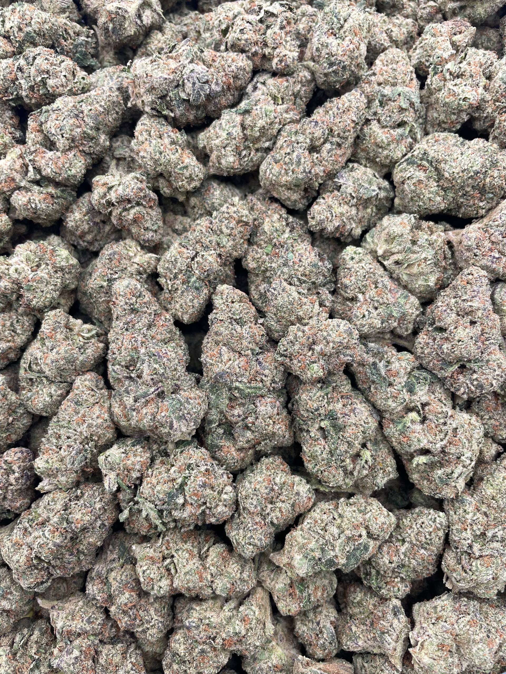 #F16C Yuzu Cheesecake (INDOOR)