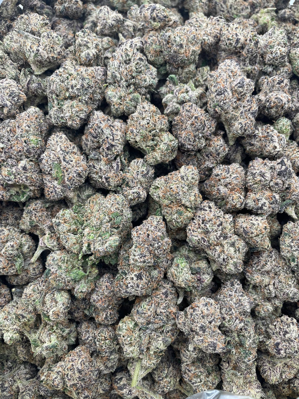 #R21Y Blue Razz Gummies (INDOOR) (TERP)