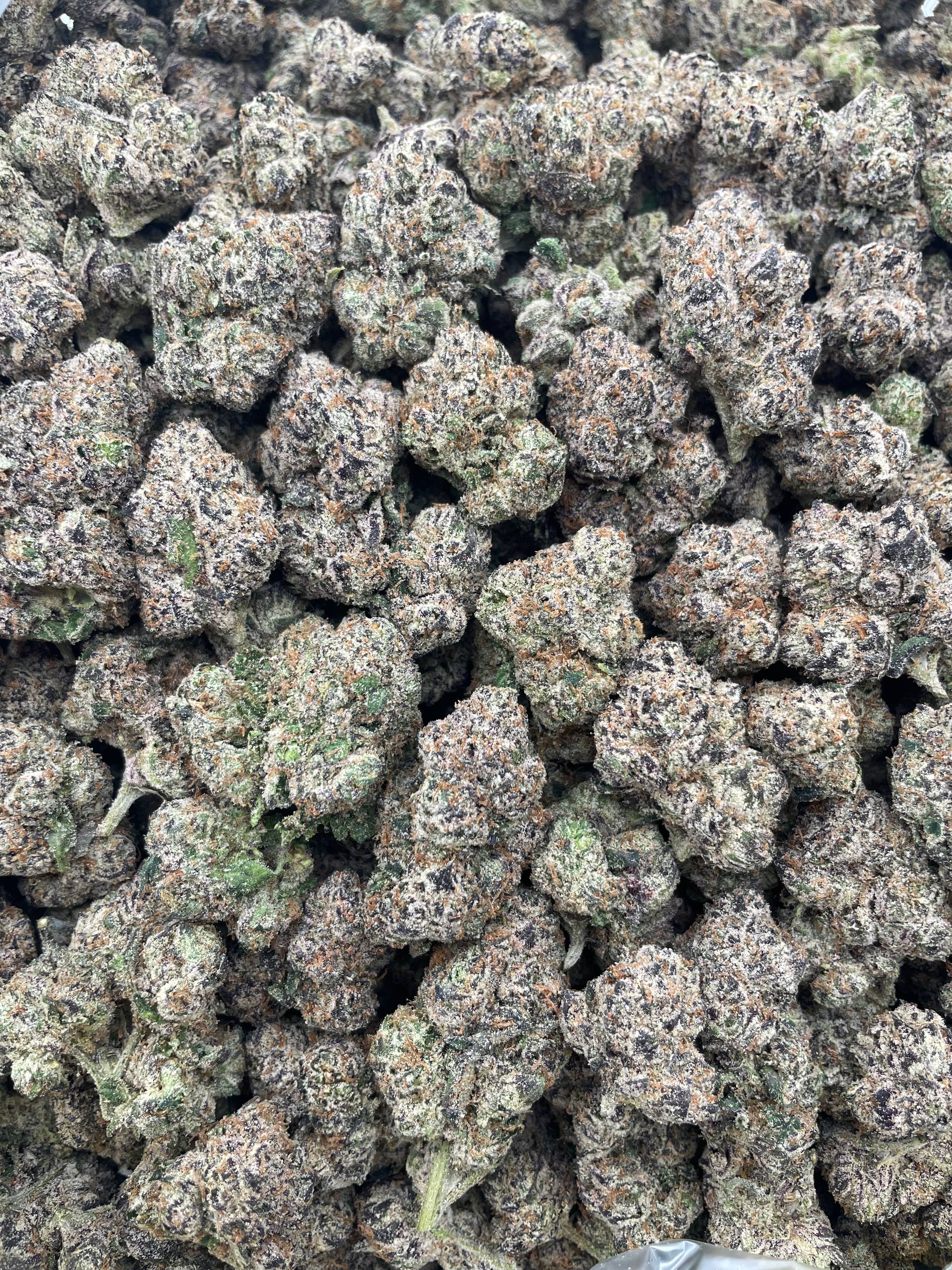 #R21Y Blue Razz Gummies (INDOOR) (TERP)