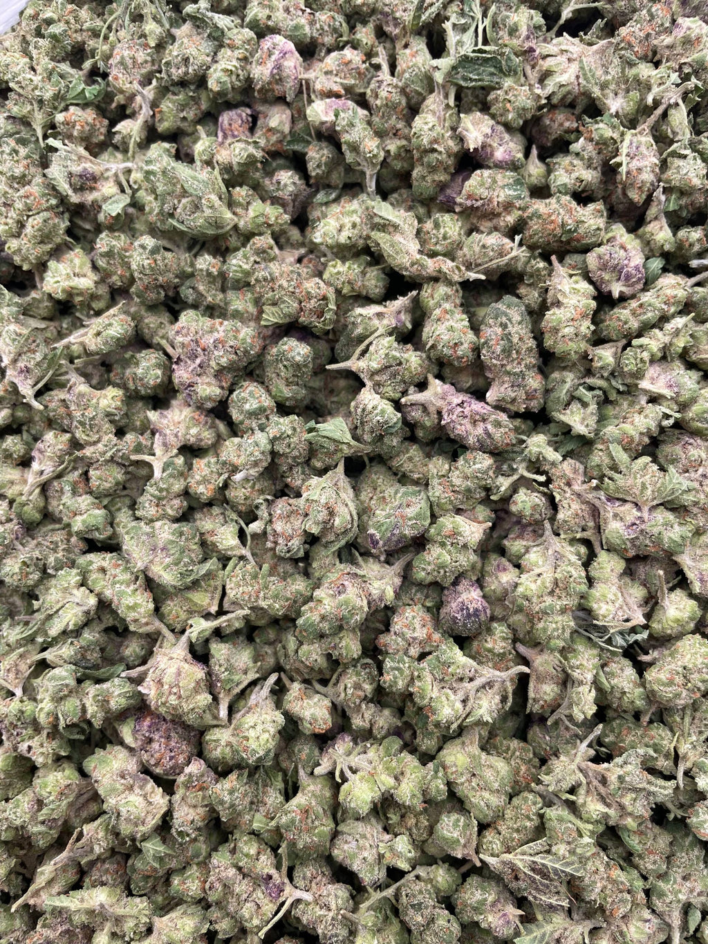 #E1B Grape Soda (SMALLS)
