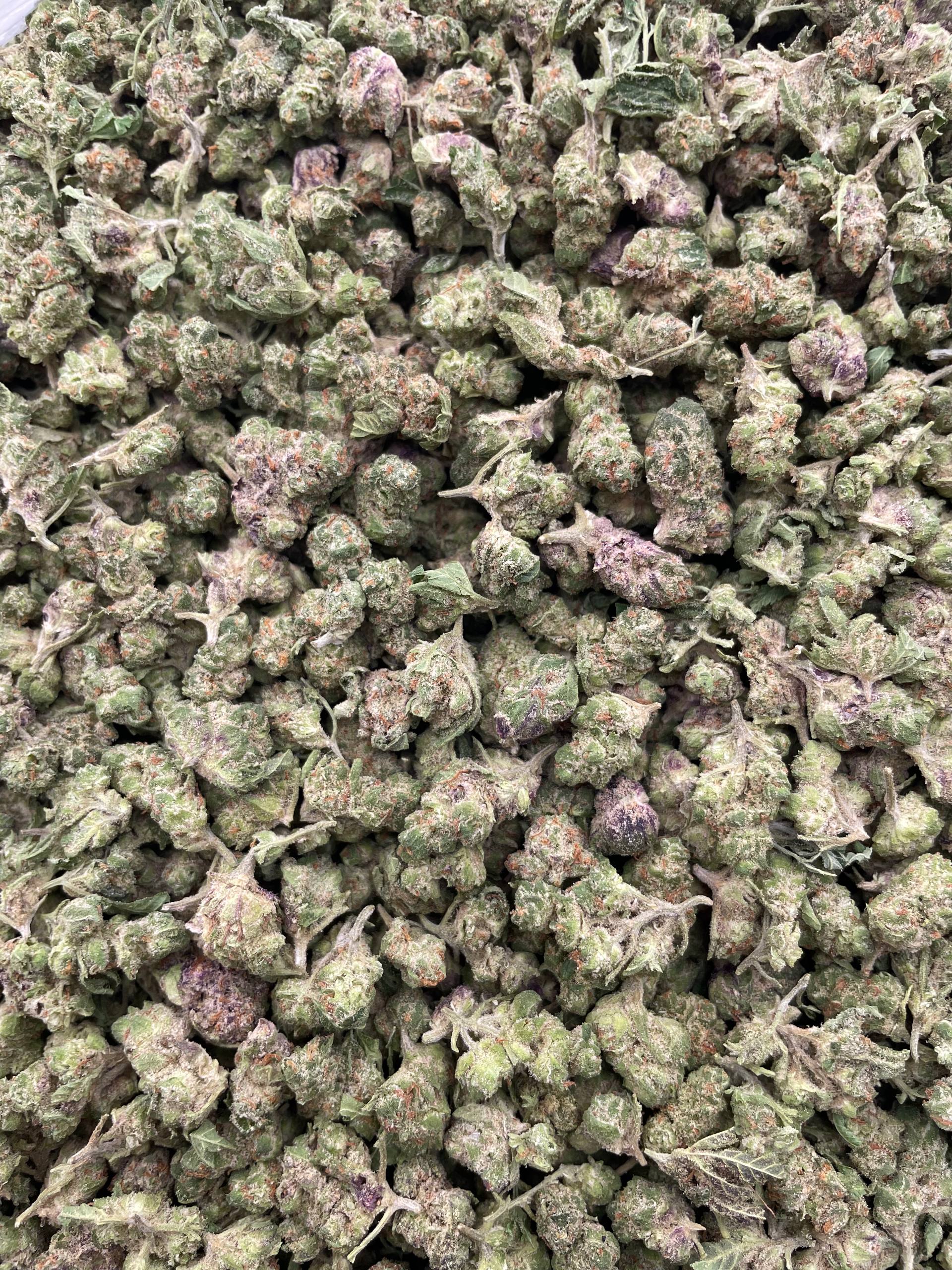 #E1B Grape Soda (SMALLS)