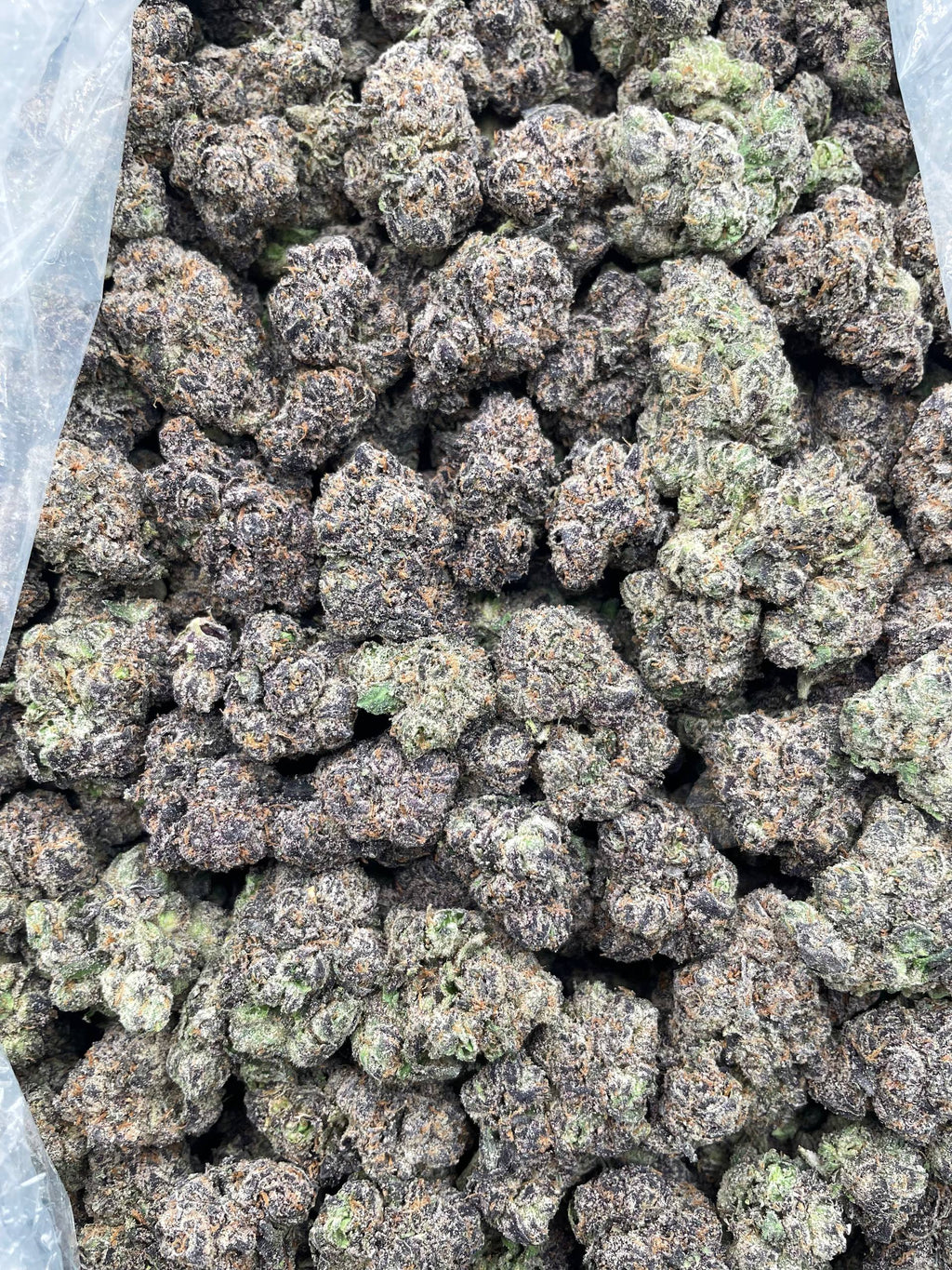 #G4B Blueberry Faygo (INDOOR) (LICENSED)
