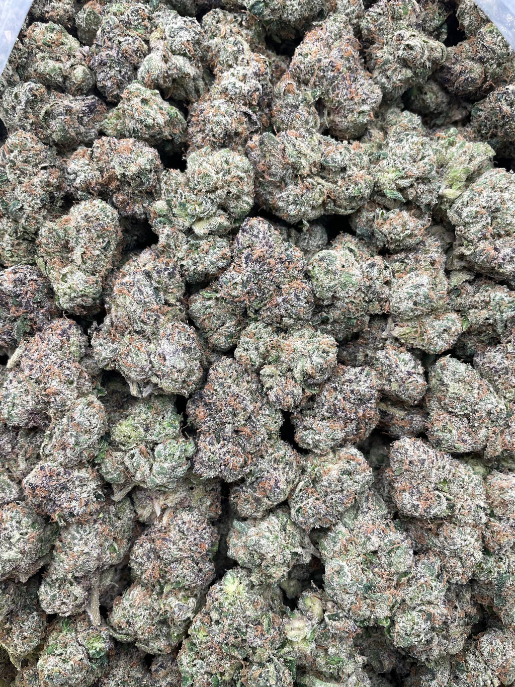 #R51X Blue Jolly Rancher (EXOTIC) (LICENSED)