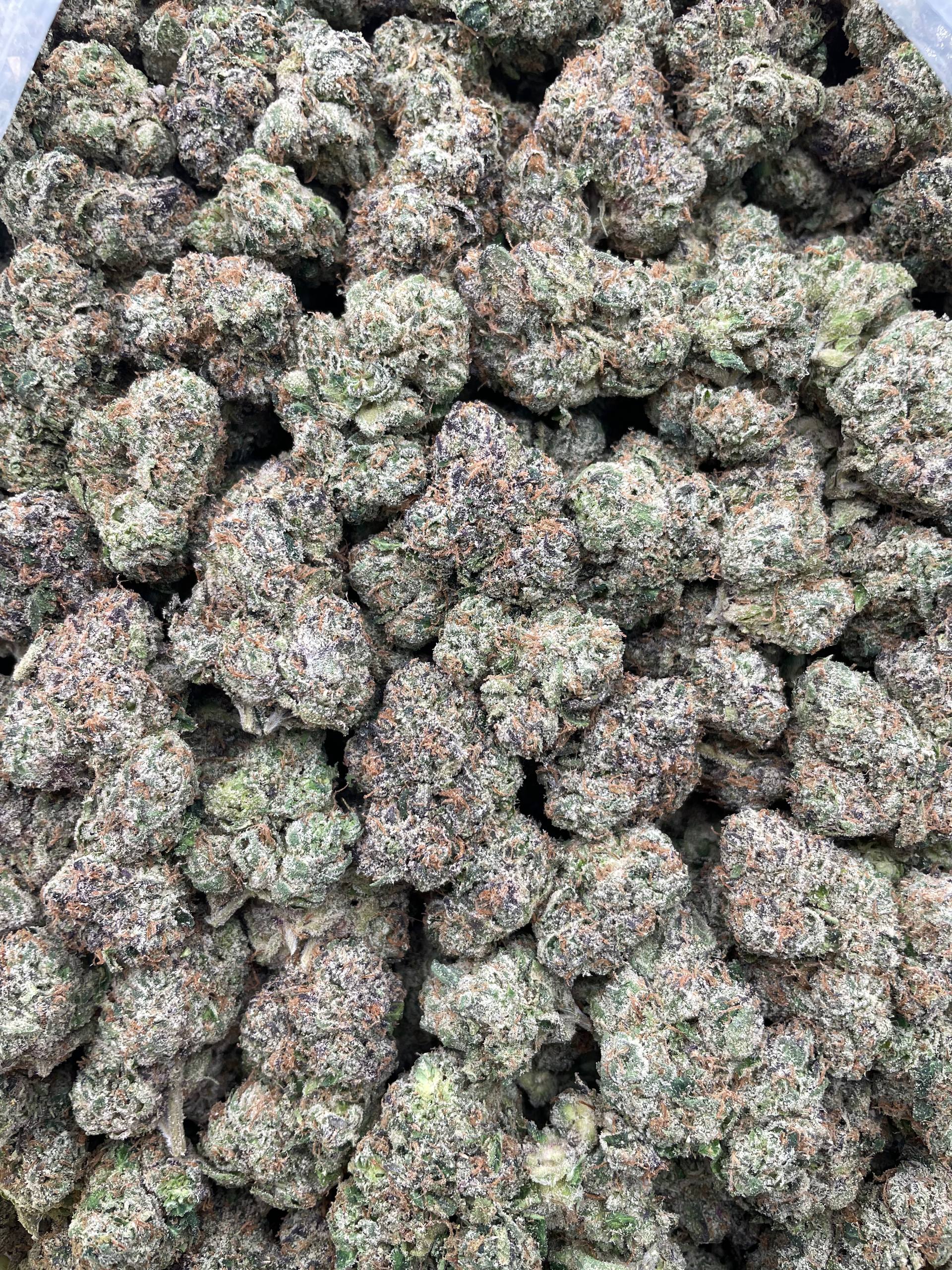 #R51X Blue Jolly Rancher (EXOTIC) (LICENSED)