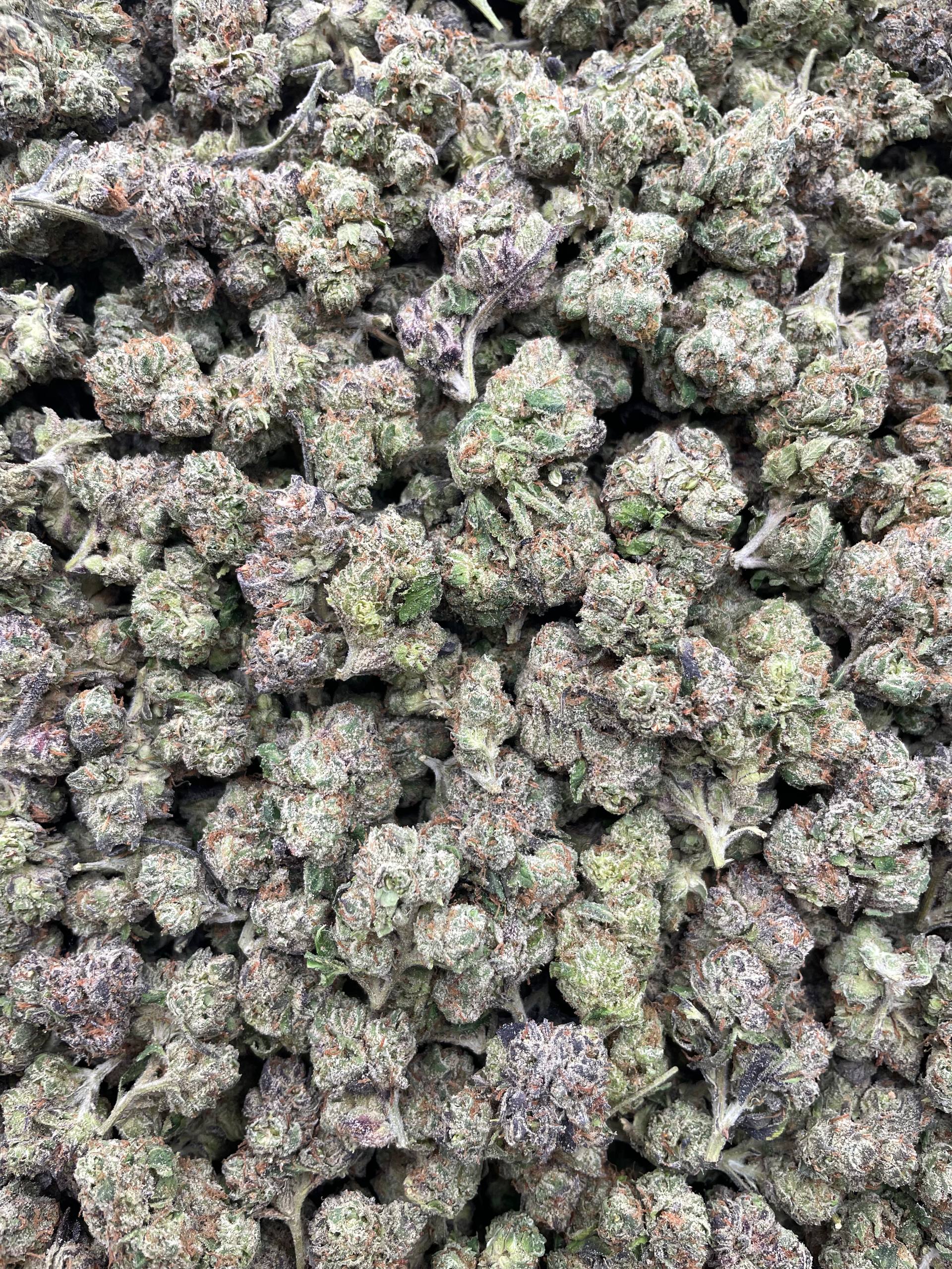 #G11B Cherry Warheads (INDOOR SHMEDIUMS)