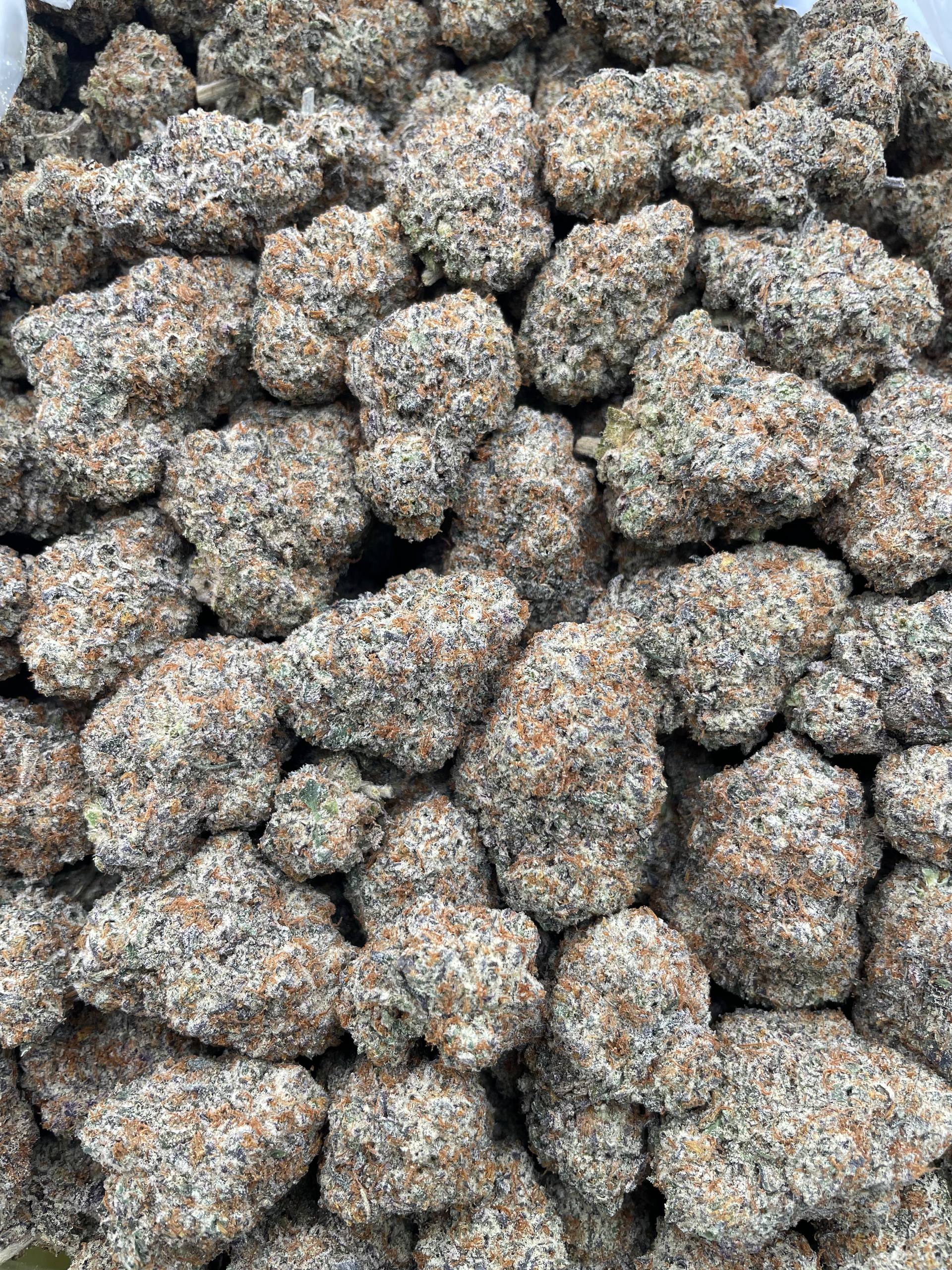 #E10C Space Rock (INDOOR)