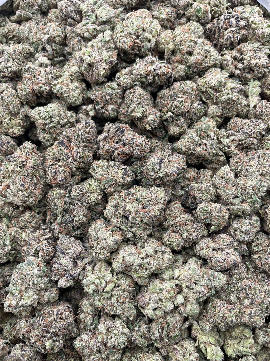 #L37C Lemon Zooties (INDOOR) (LICENSED)