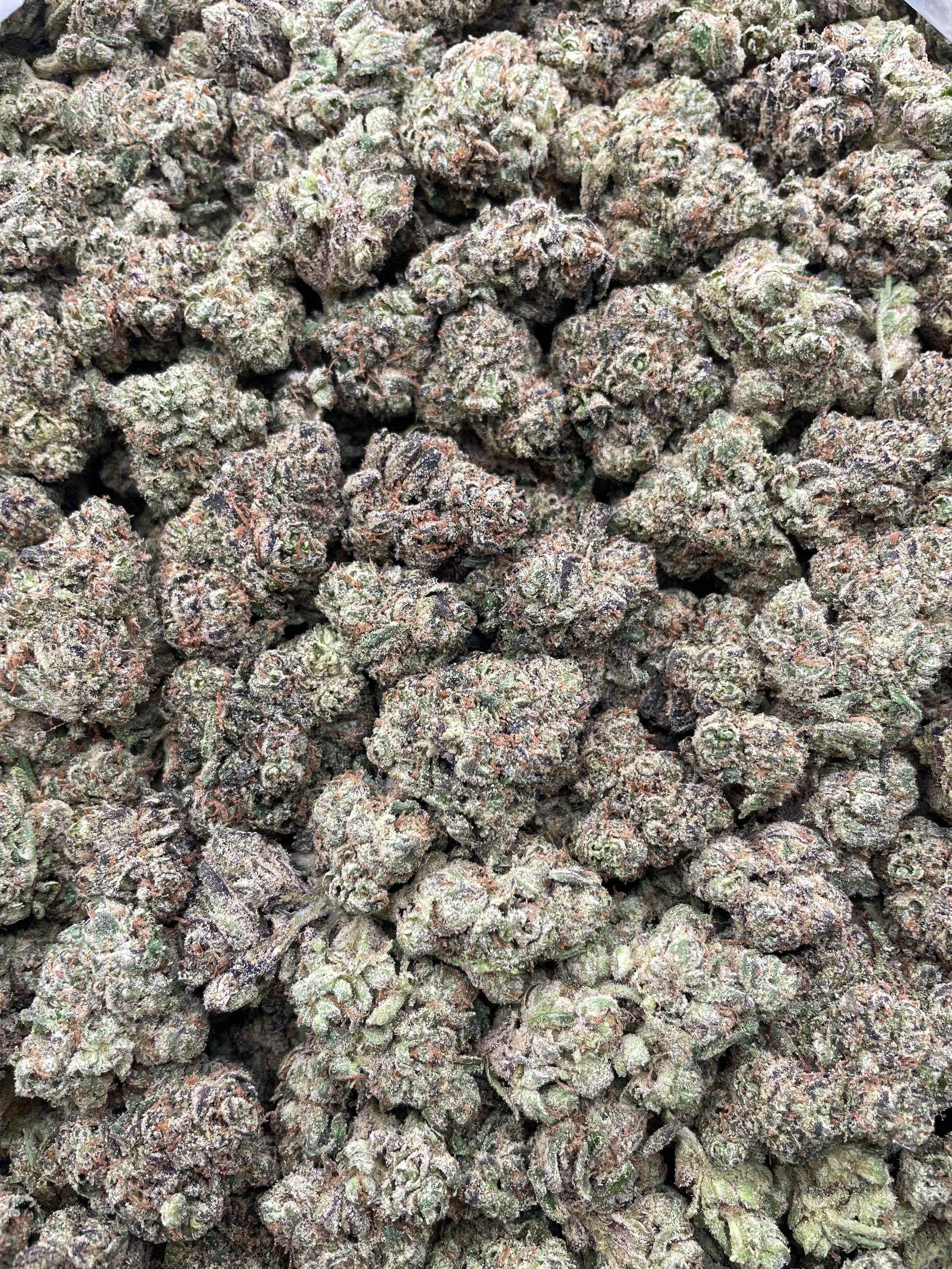 #L37C Lemon Zooties (INDOOR) (LICENSED)