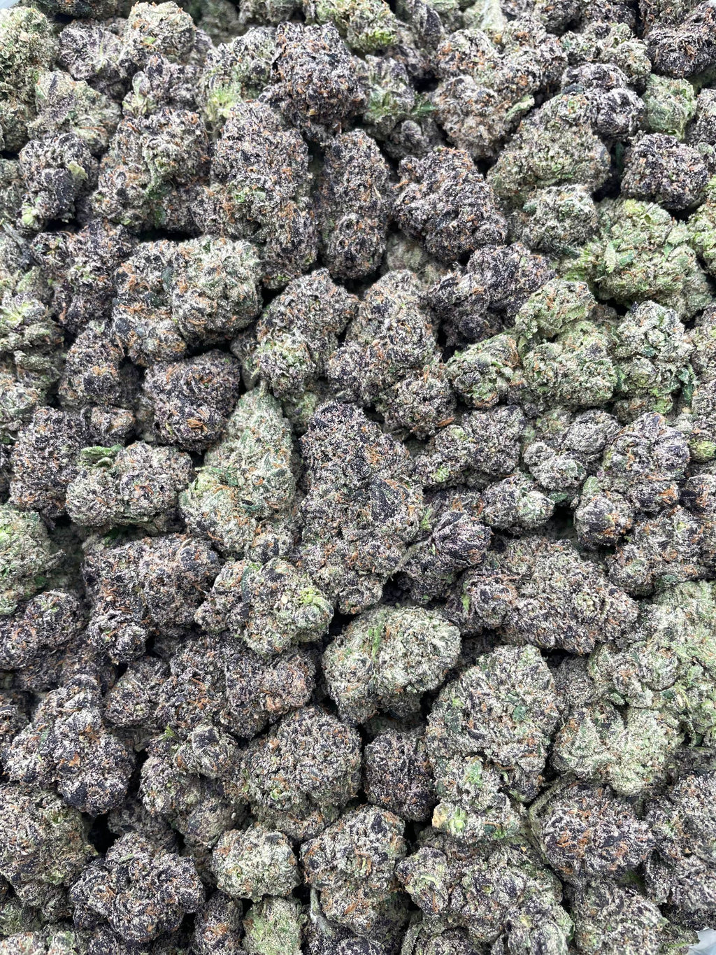 #H1C Oh Wow Lemons (INDOOR) (LICENSED)