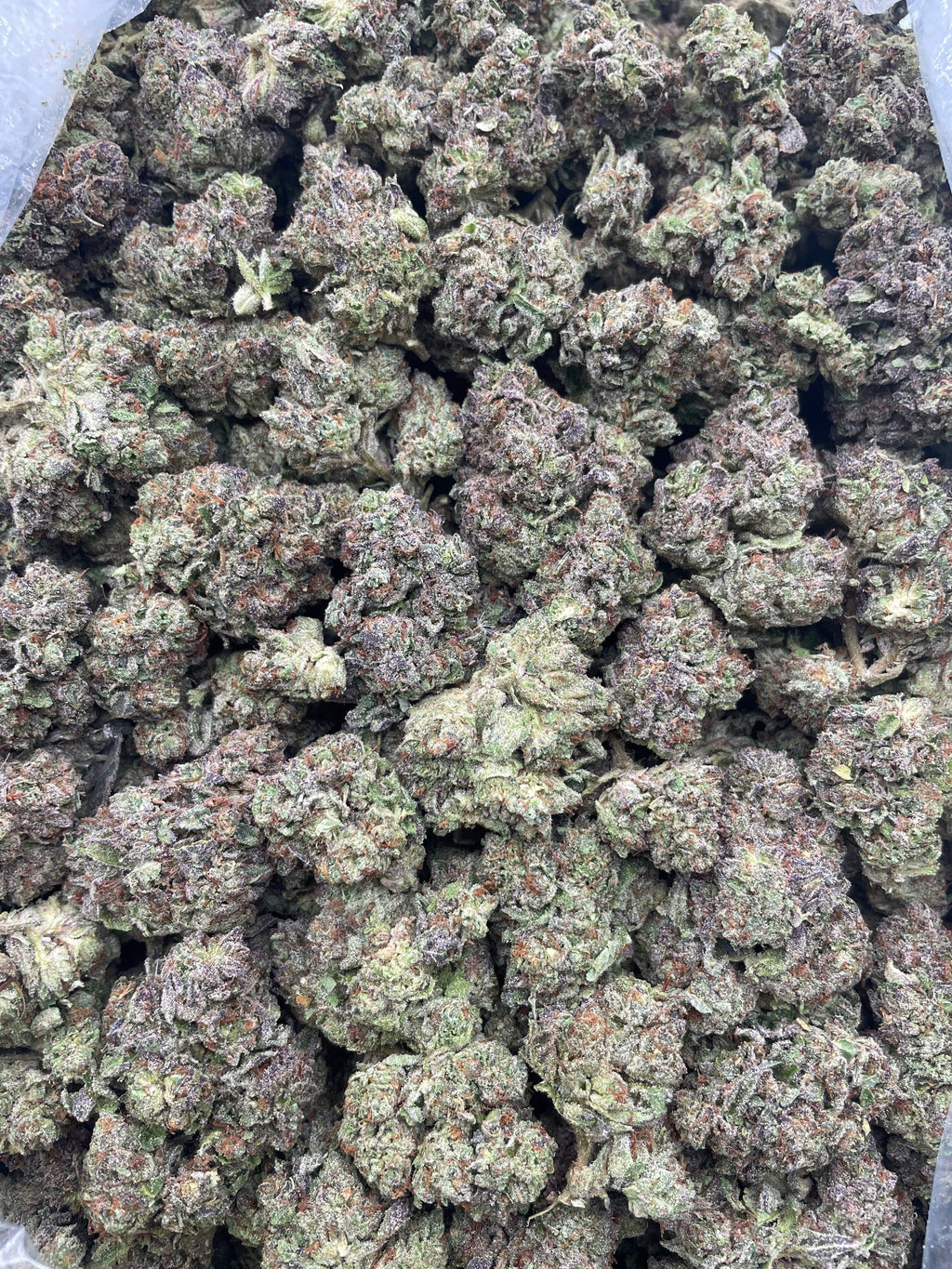 #H35C Gelato Ice Cream (MIXED LIGHT)