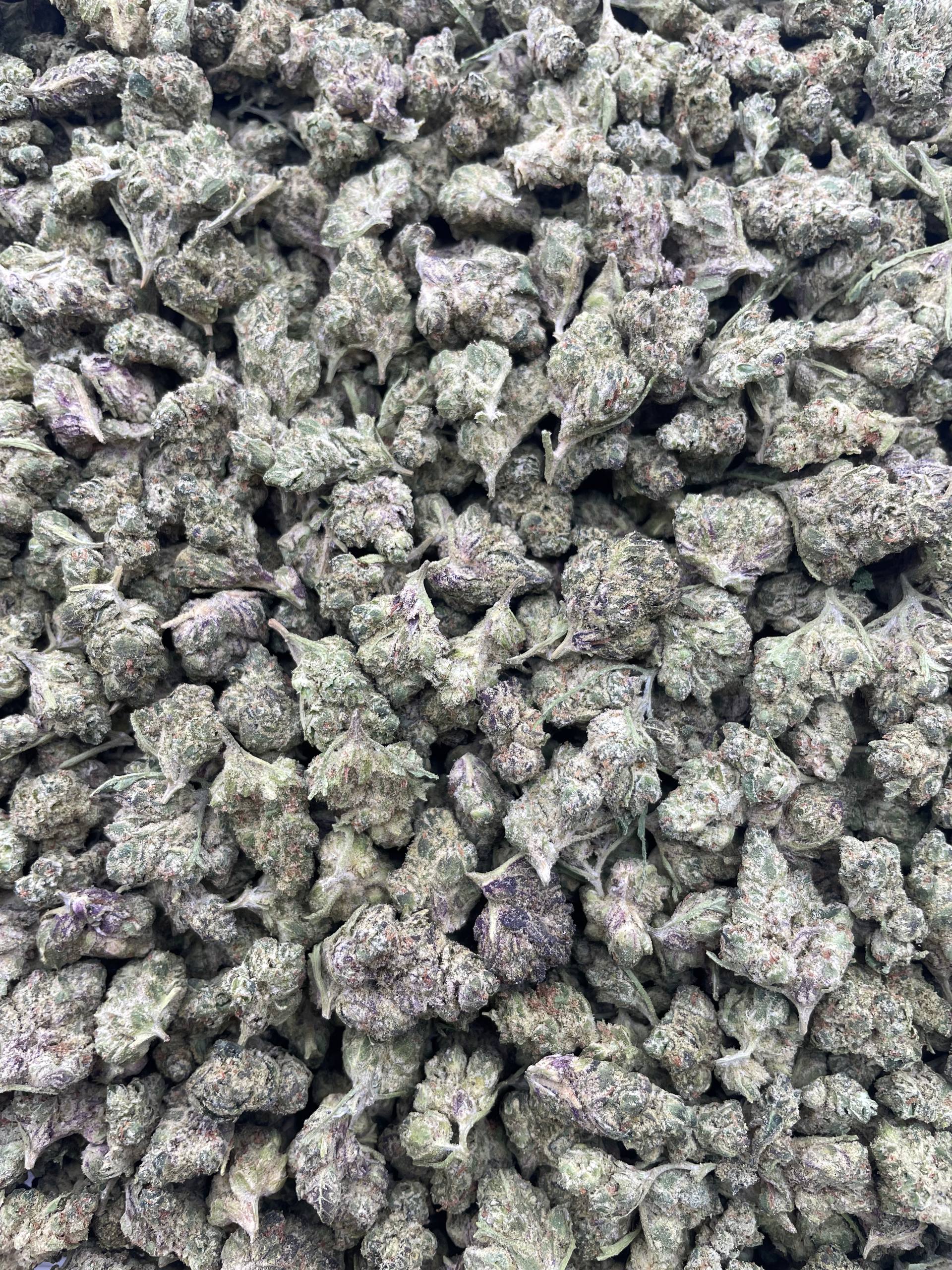 #F25B Butter Cream (SMALLS)