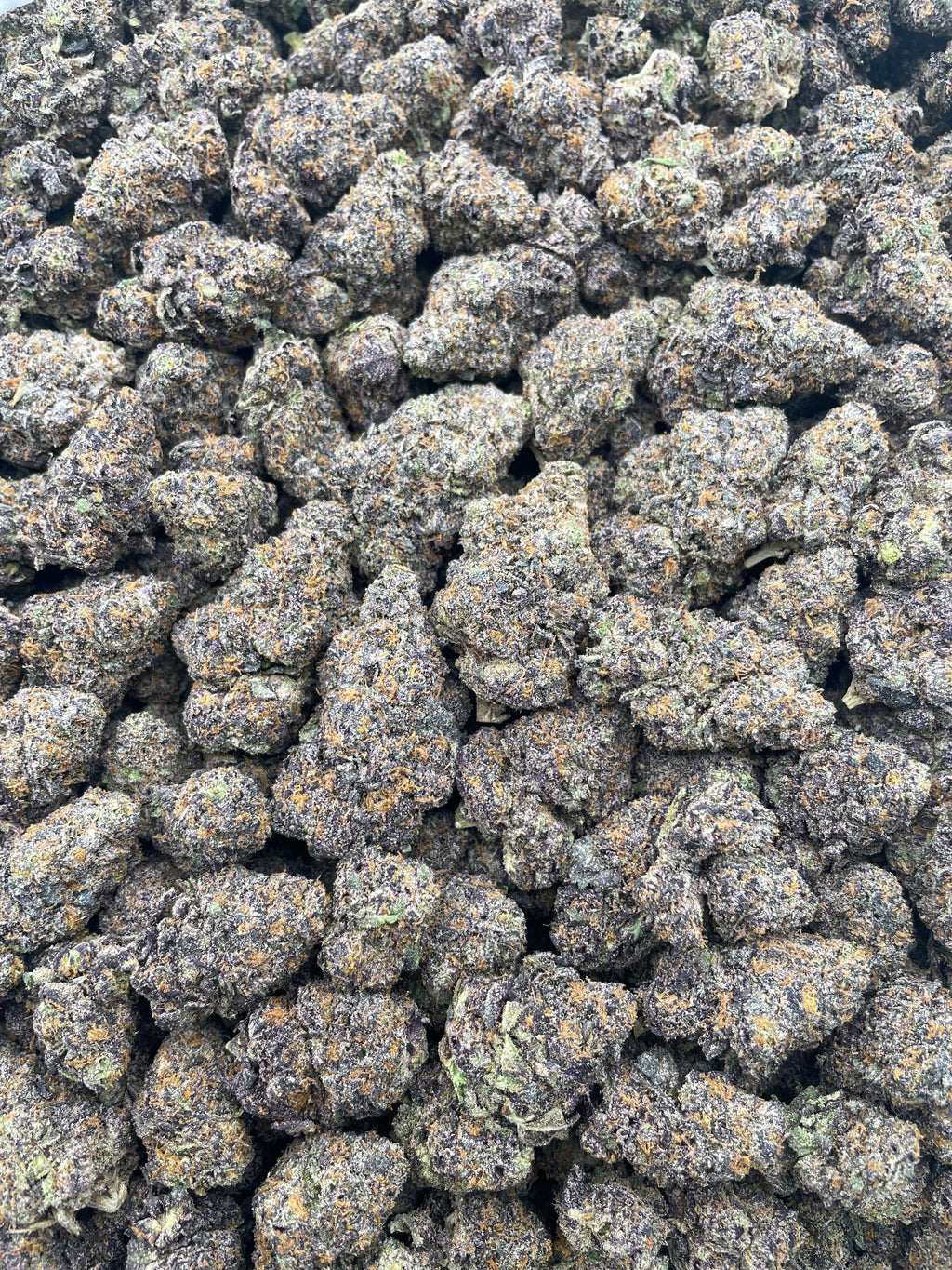 #L7B Galaxy Cherry Runtz (INDOOR)