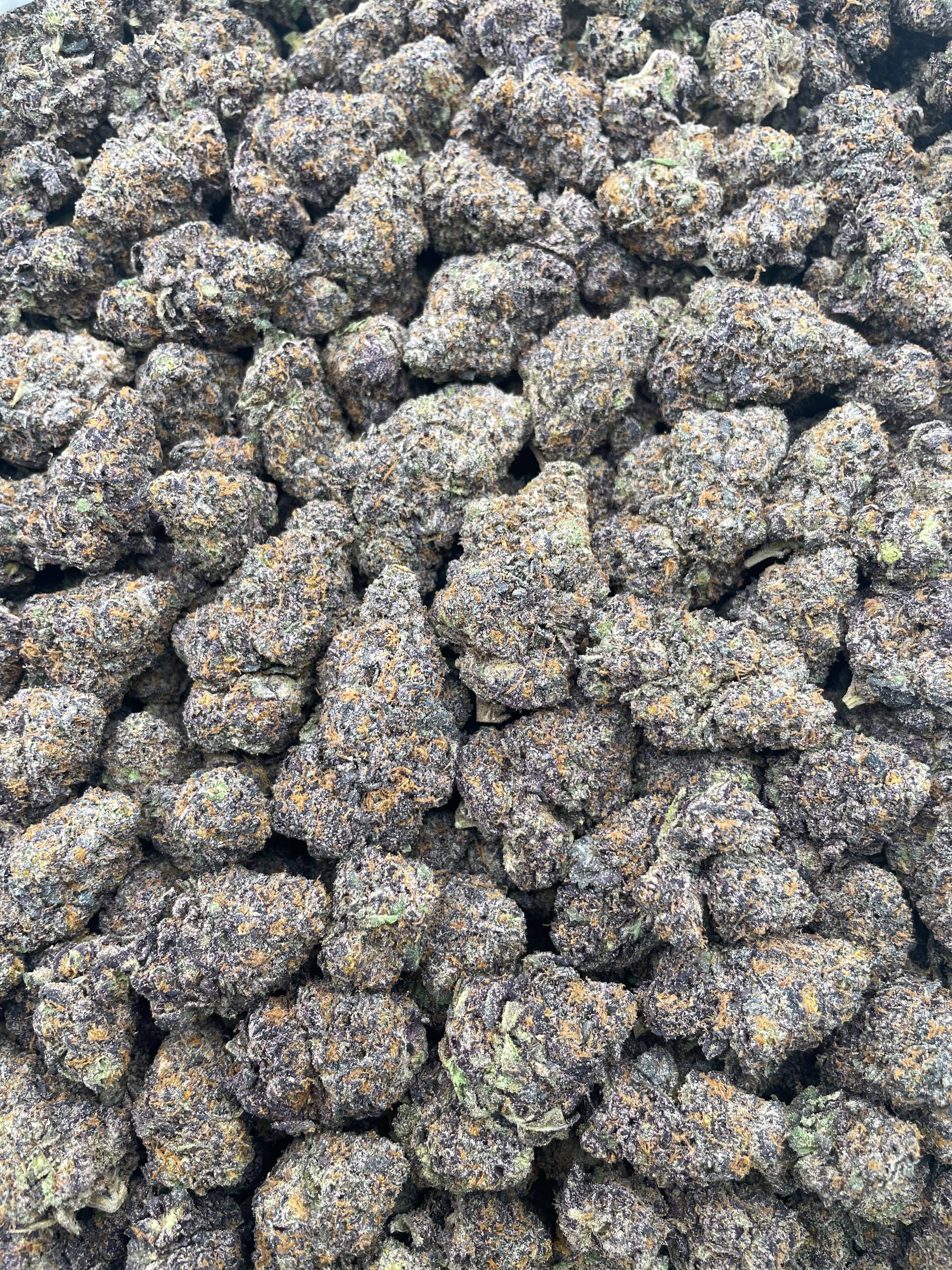 #L7B Galaxy Cherry Runtz (INDOOR)