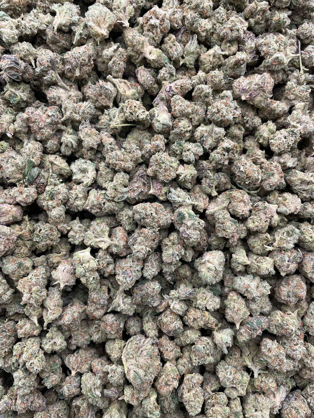 #G18B Zkittles (SMALLS)