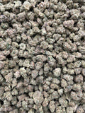 #G18B Zkittles (SMALLS)