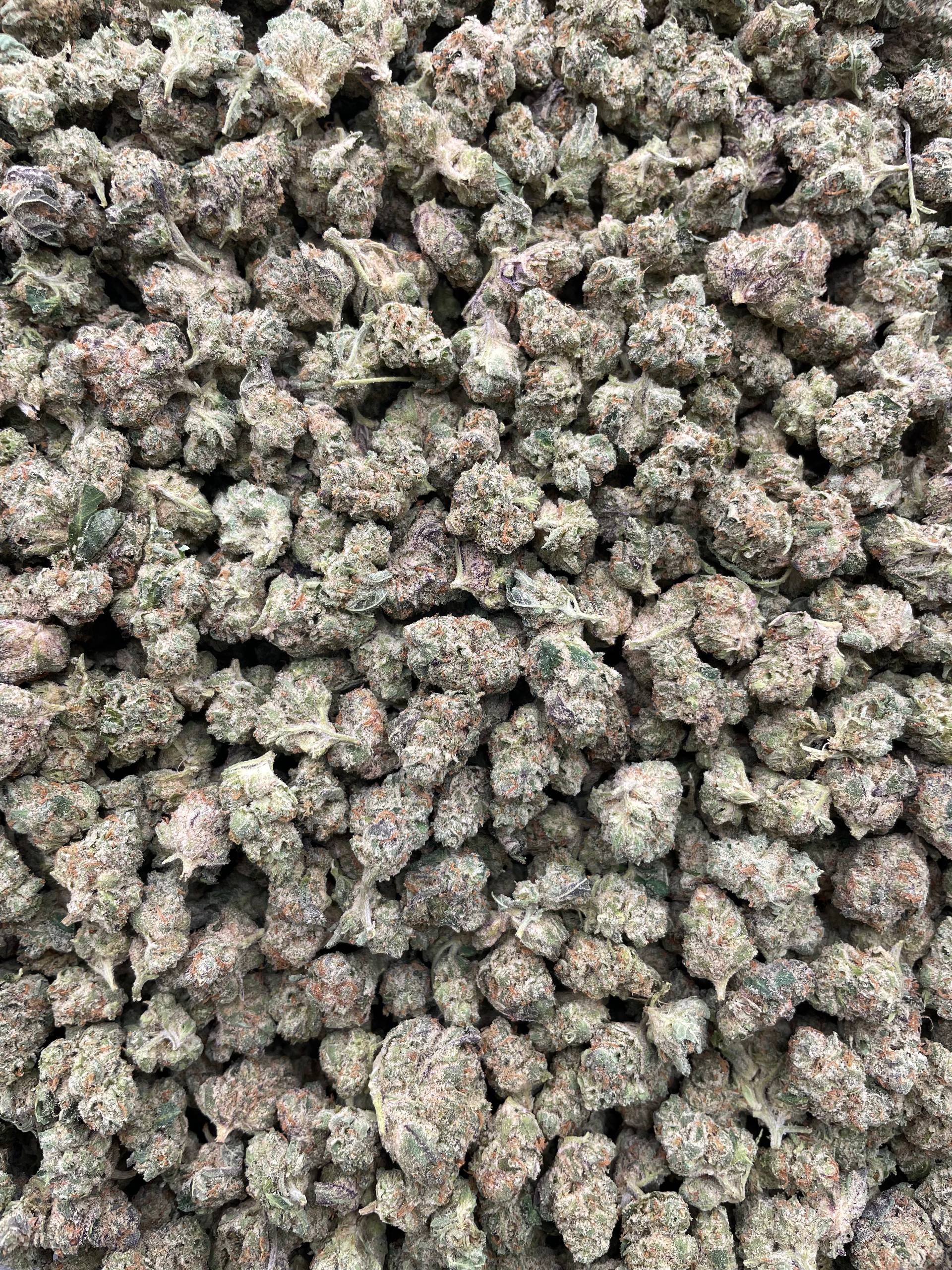 #G18B Zkittles (SMALLS)